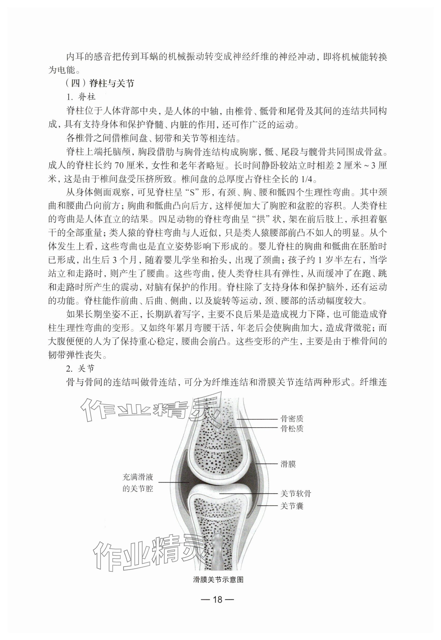 2024年教材課本生命科學(xué)第一冊滬教版五四制 參考答案第12頁