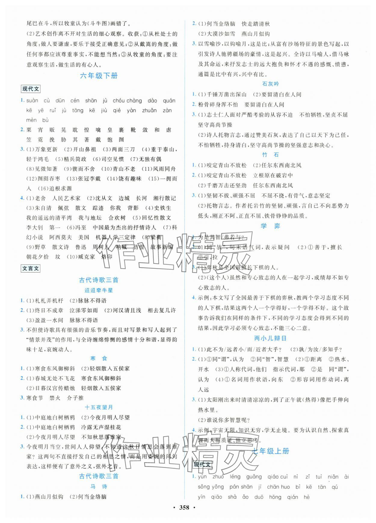 2024年初中總復習山東文藝出版社語文淄博專版 第2頁