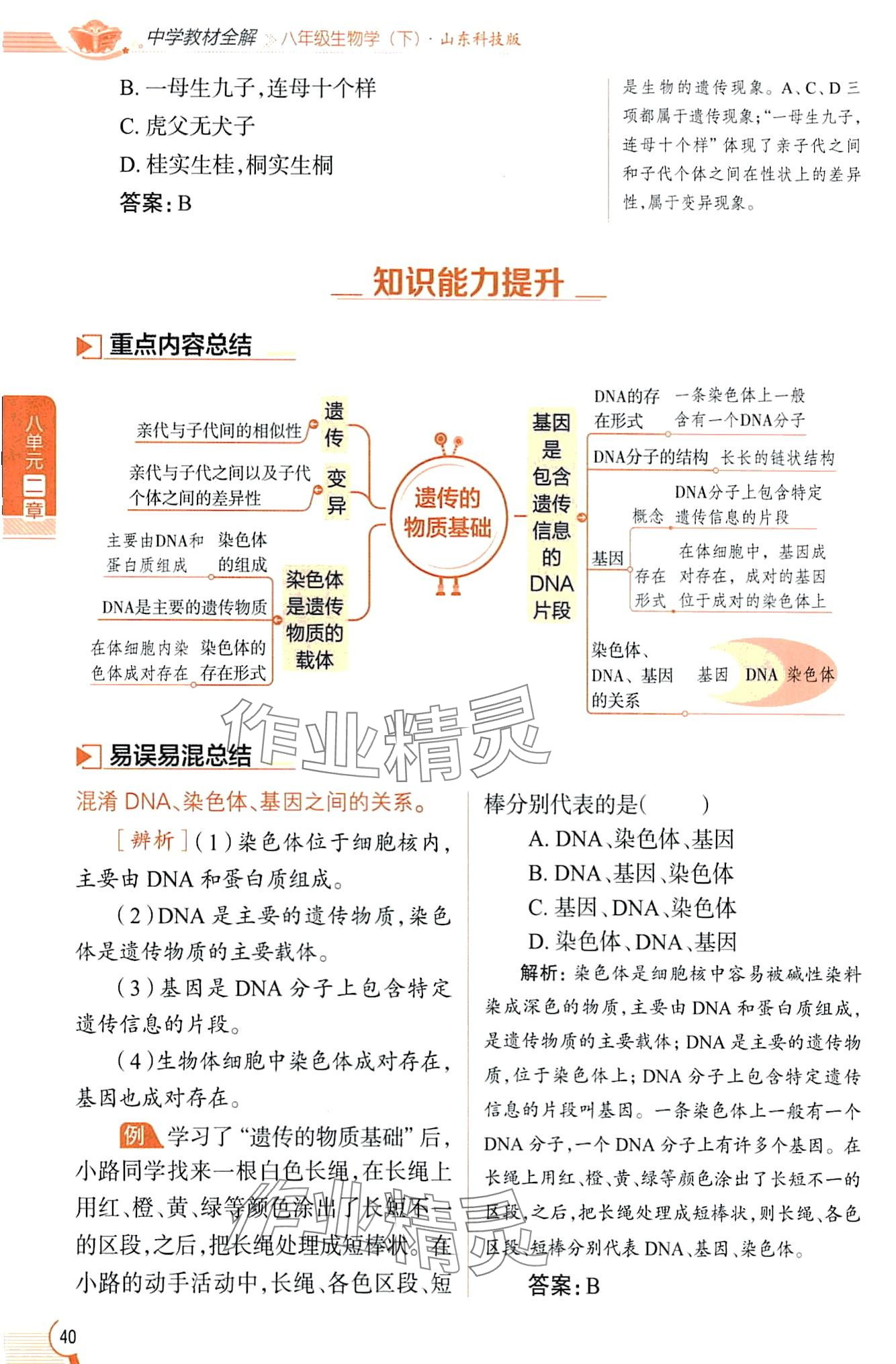 2024年教材課本八年級生物下冊魯科版五四制 第40頁