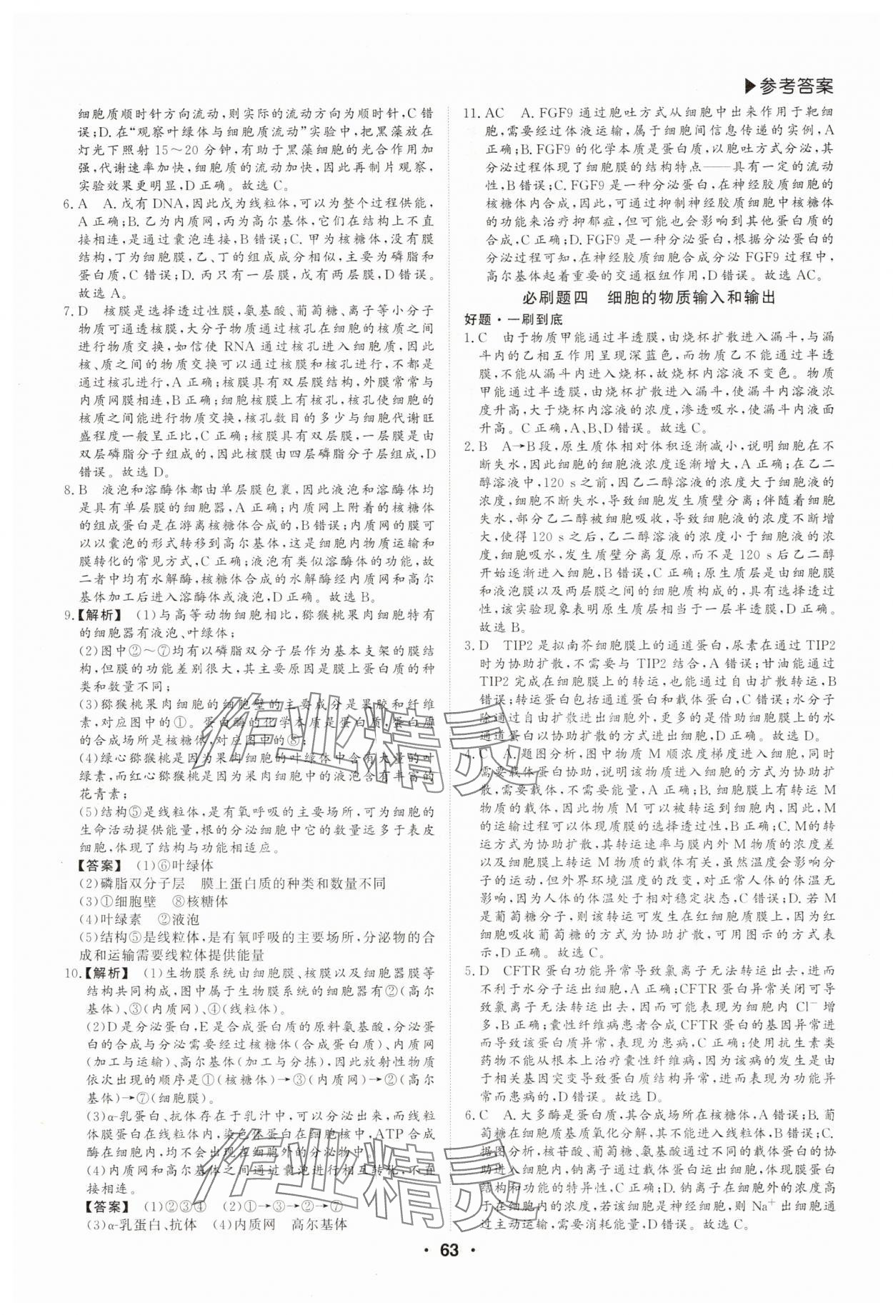 2025年優(yōu)選課堂必刷題高一生物&nbsp;第3頁