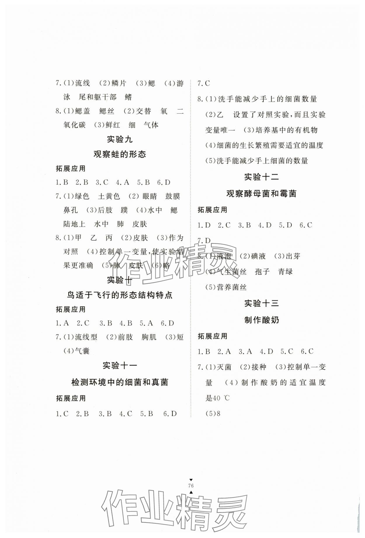 2025年实验报告册江西教育出版社七年级生物上册人教版 第2页