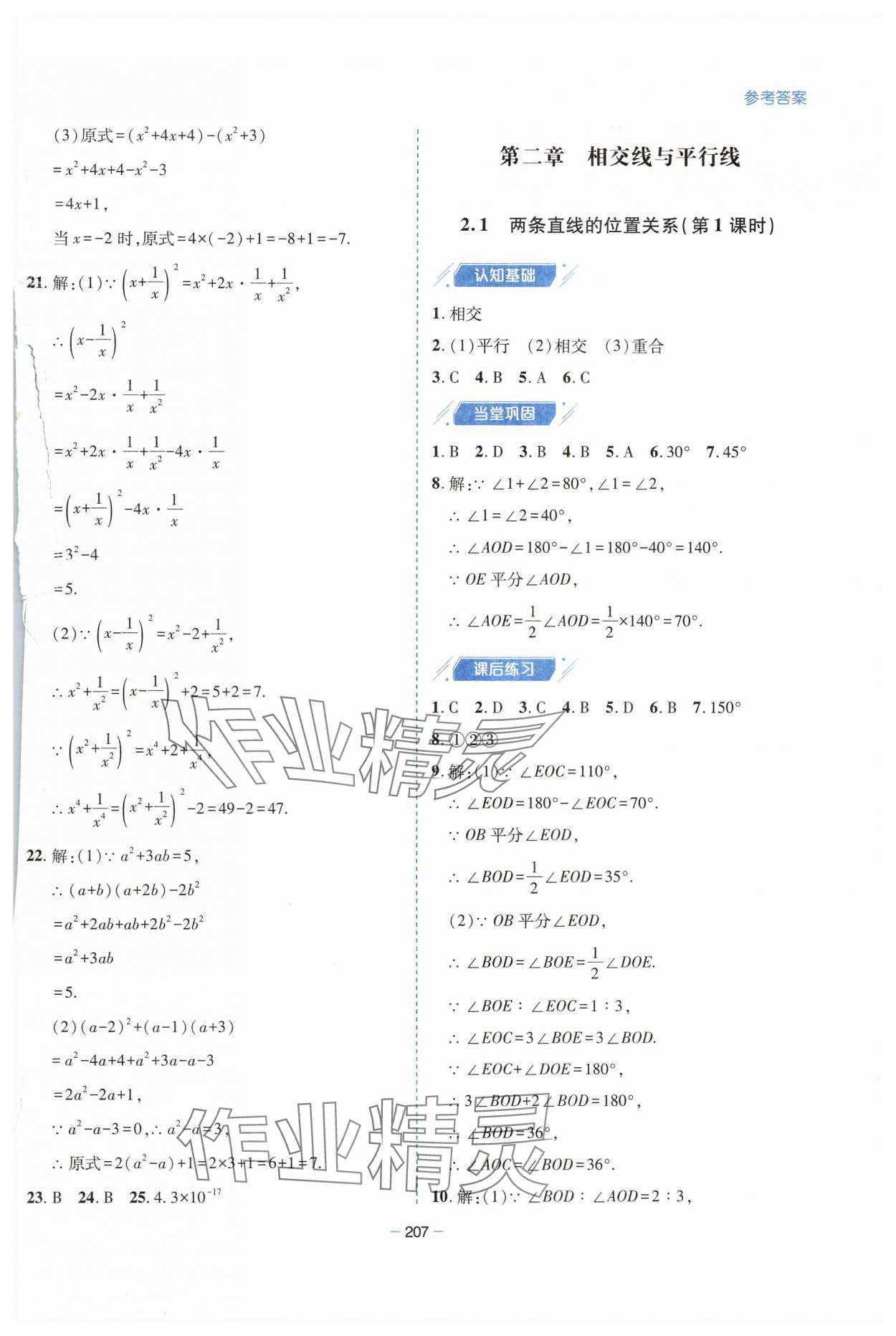 2025年新課堂學習與探究七年級數學下冊北師大版 參考答案第13頁