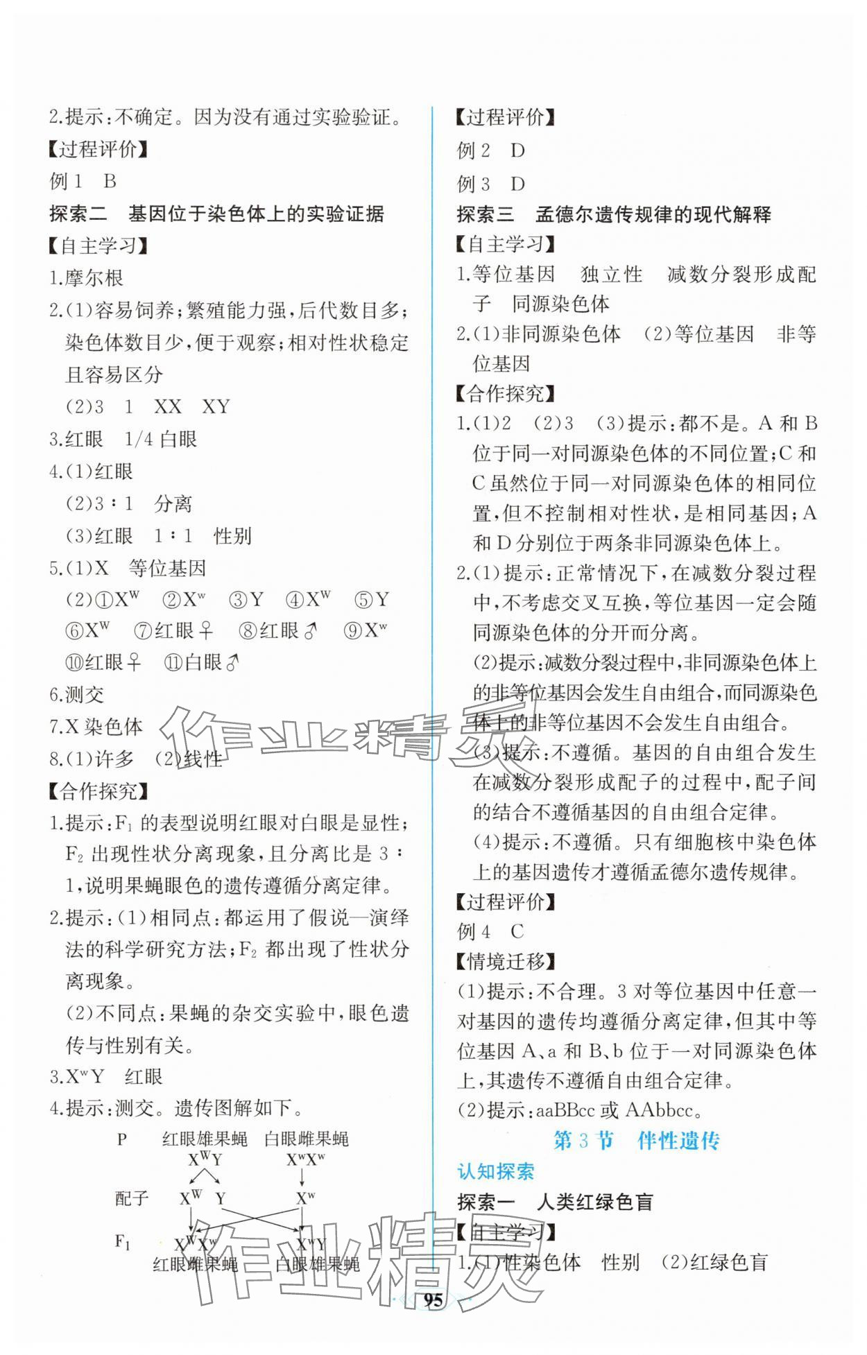 2025年課時練新課程學習評價方案高一生物必修2人教版增強版 第9頁