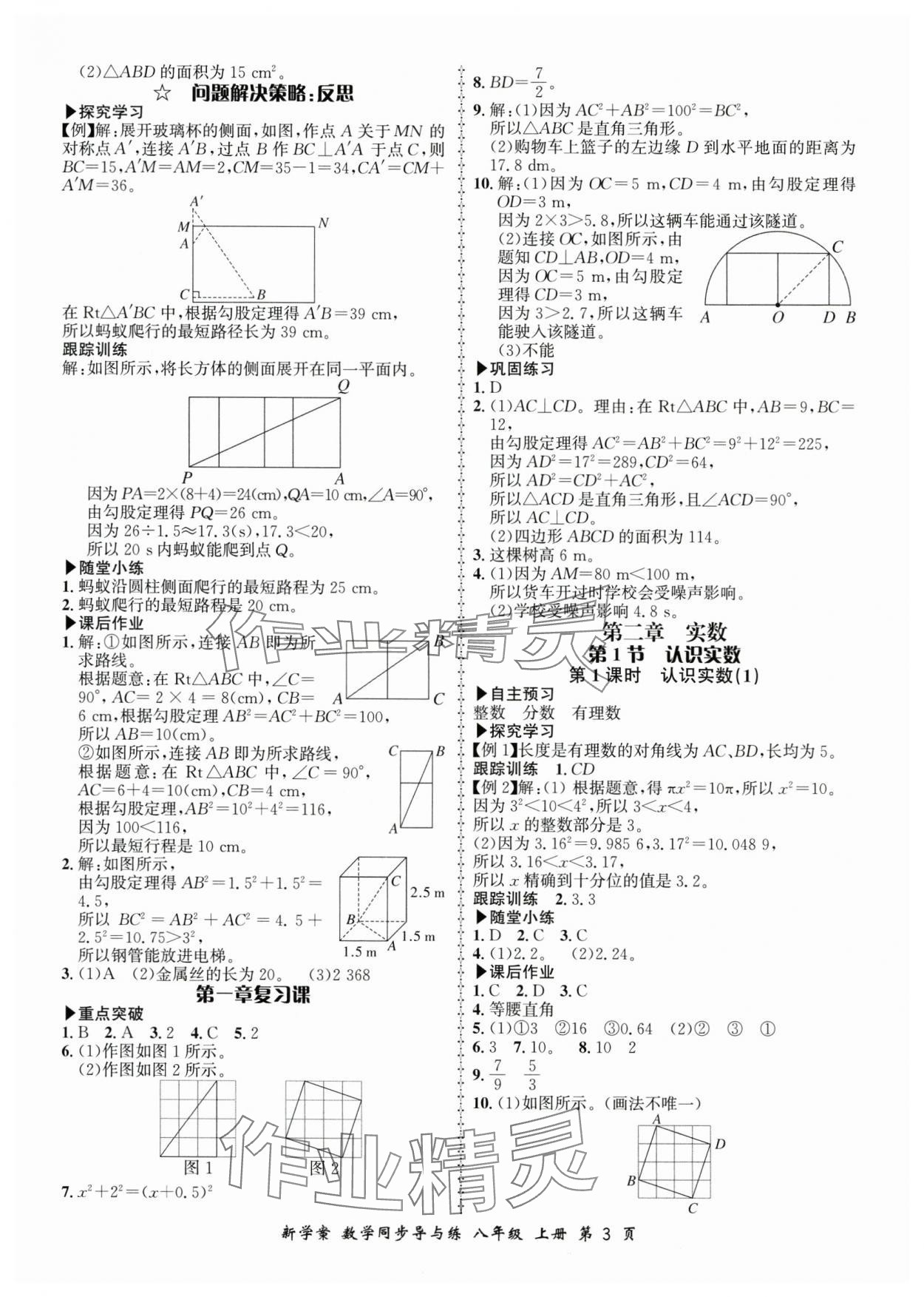 2025年新學(xué)案同步導(dǎo)與練八年級(jí)數(shù)學(xué)上冊(cè)北師大版 第3頁(yè)