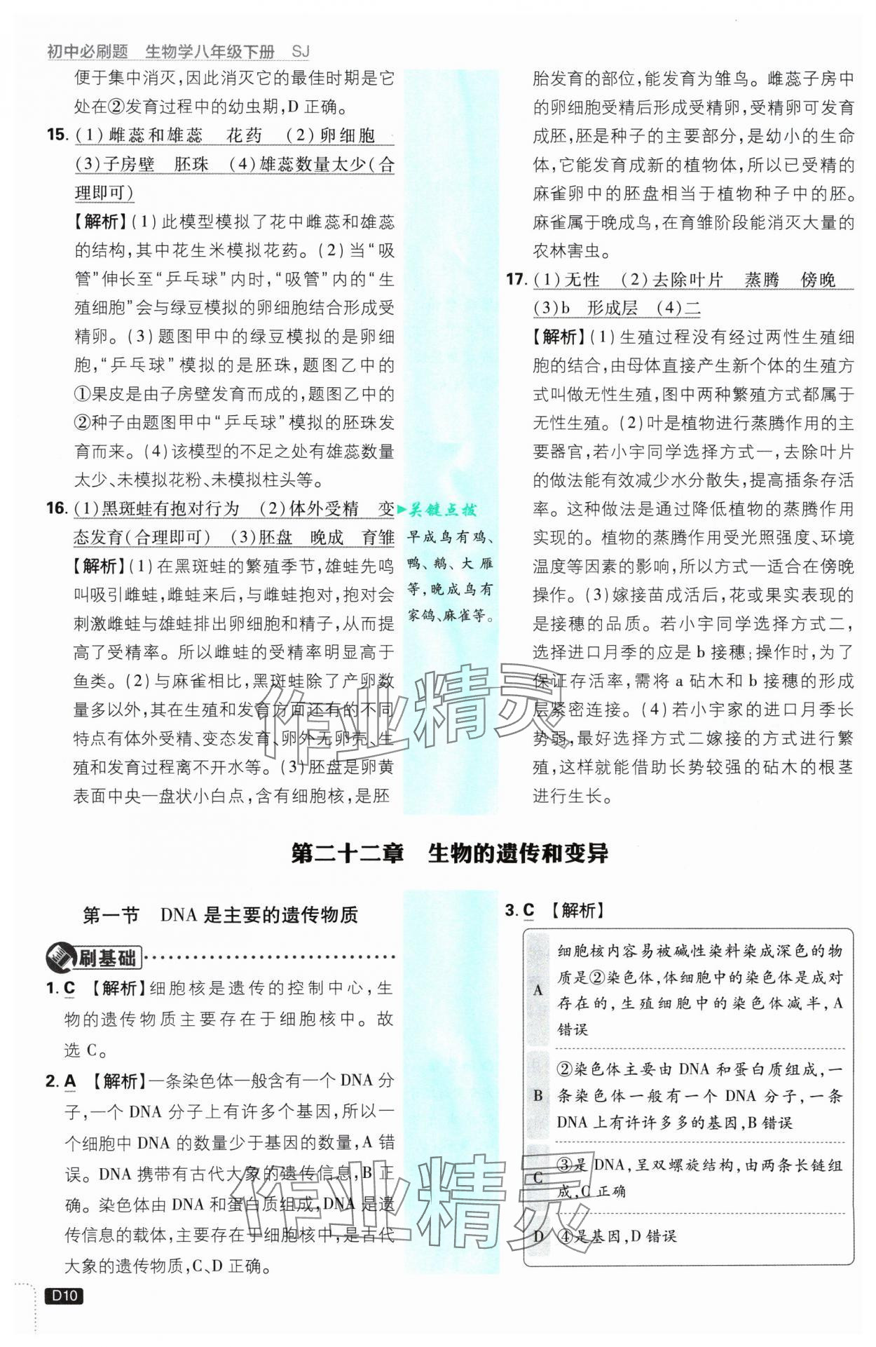 2025年初中必刷題八年級生物下冊蘇教版 參考答案第10頁