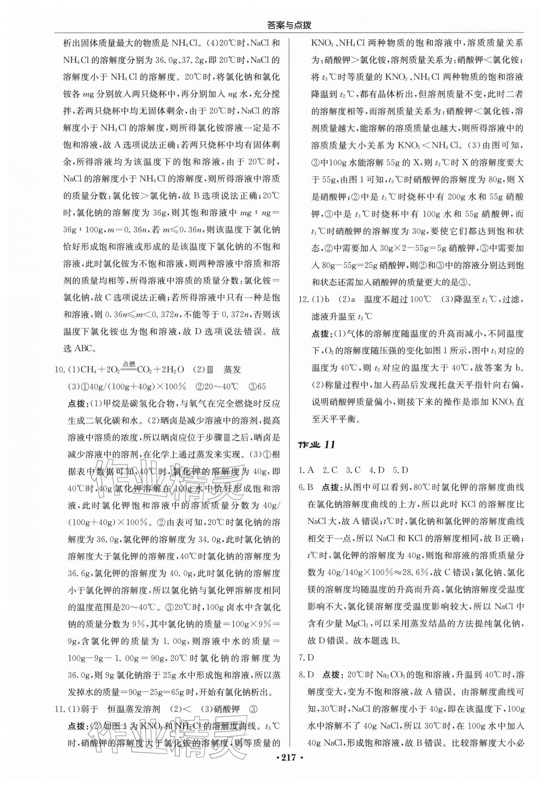 2026年启东中学作业本九年级化学下册沪教版苏北专版 第11页