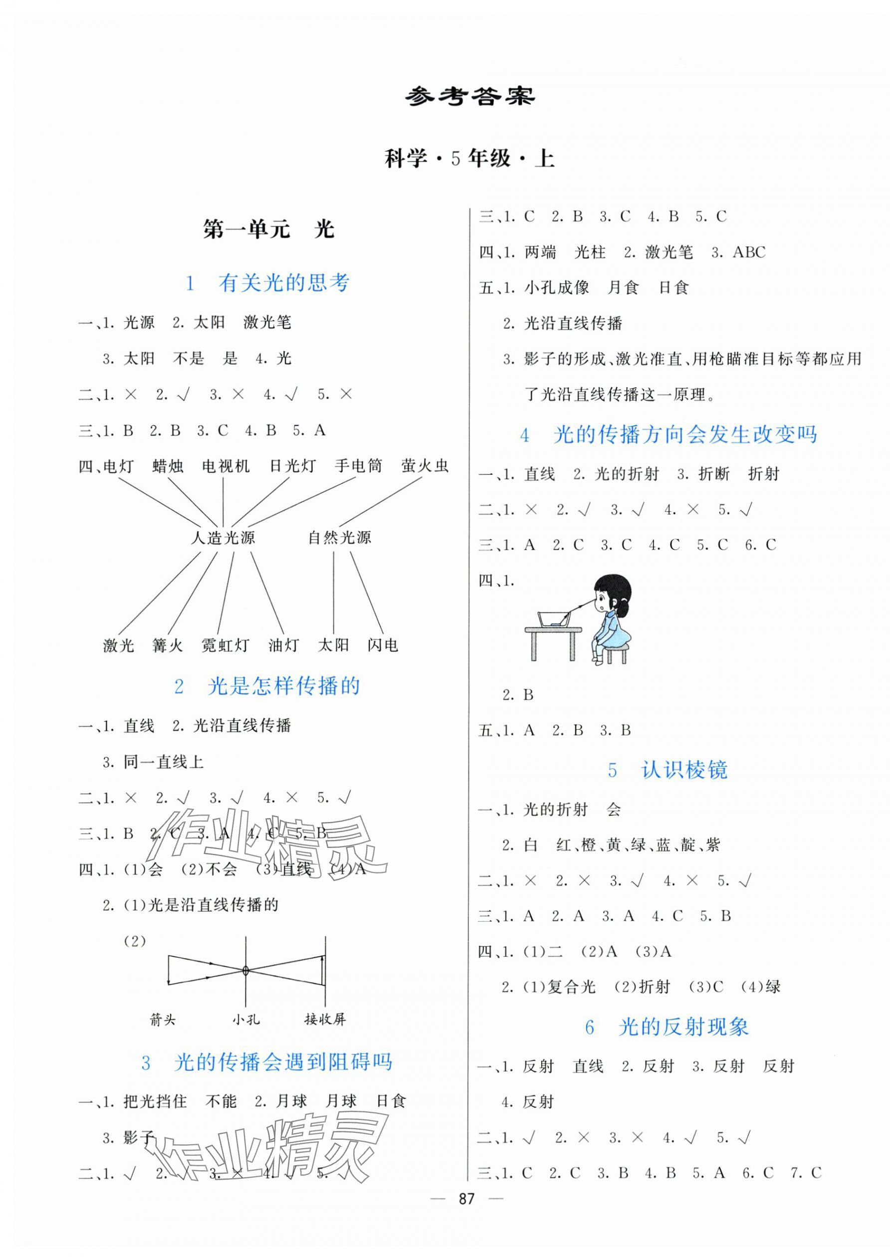 2025年亮點(diǎn)激活提優(yōu)天天練五年級科學(xué)上冊教科版 第1頁