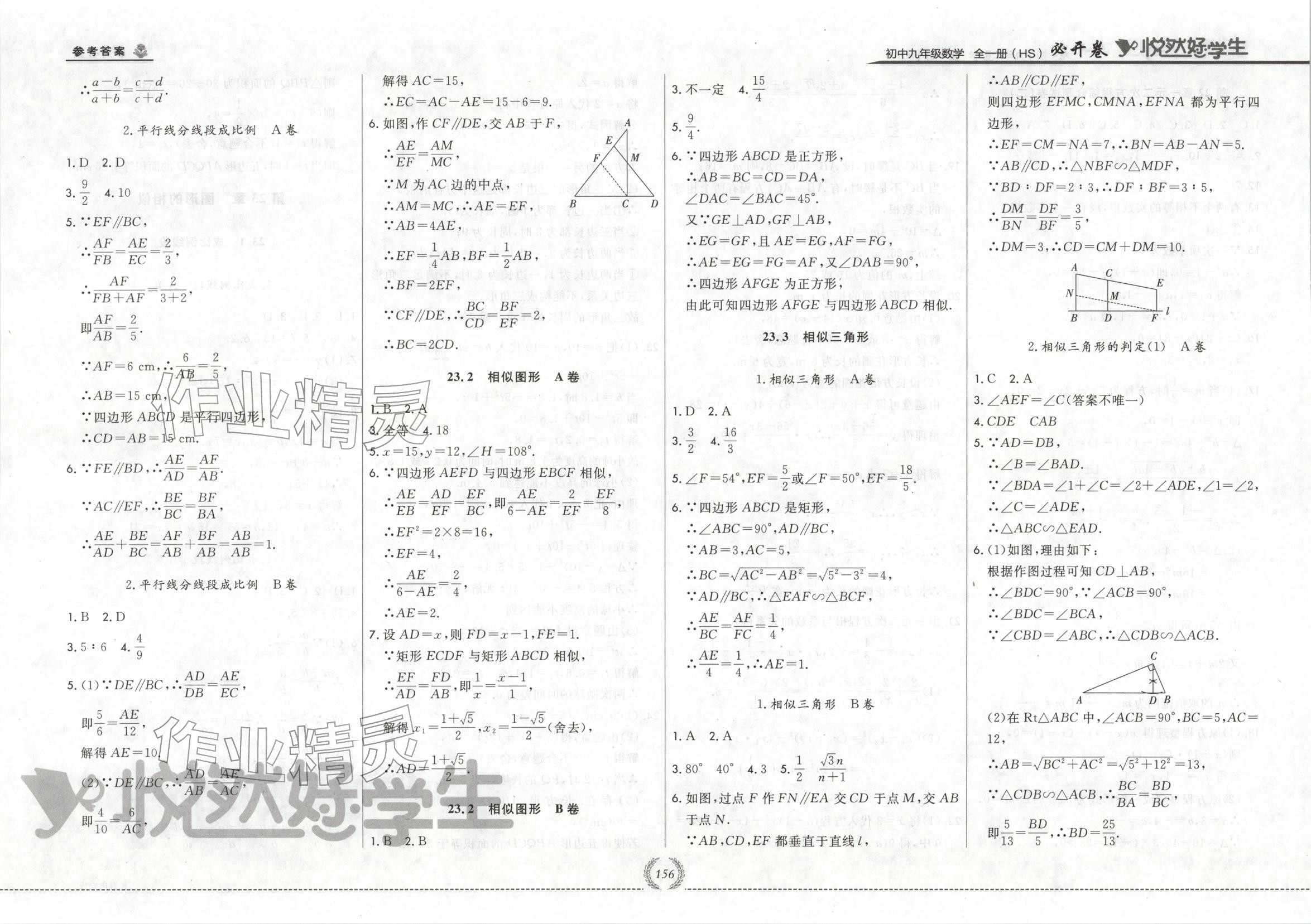 2025年悦然好学生必开卷九年级数学全一册华师大版长春专版 第8页