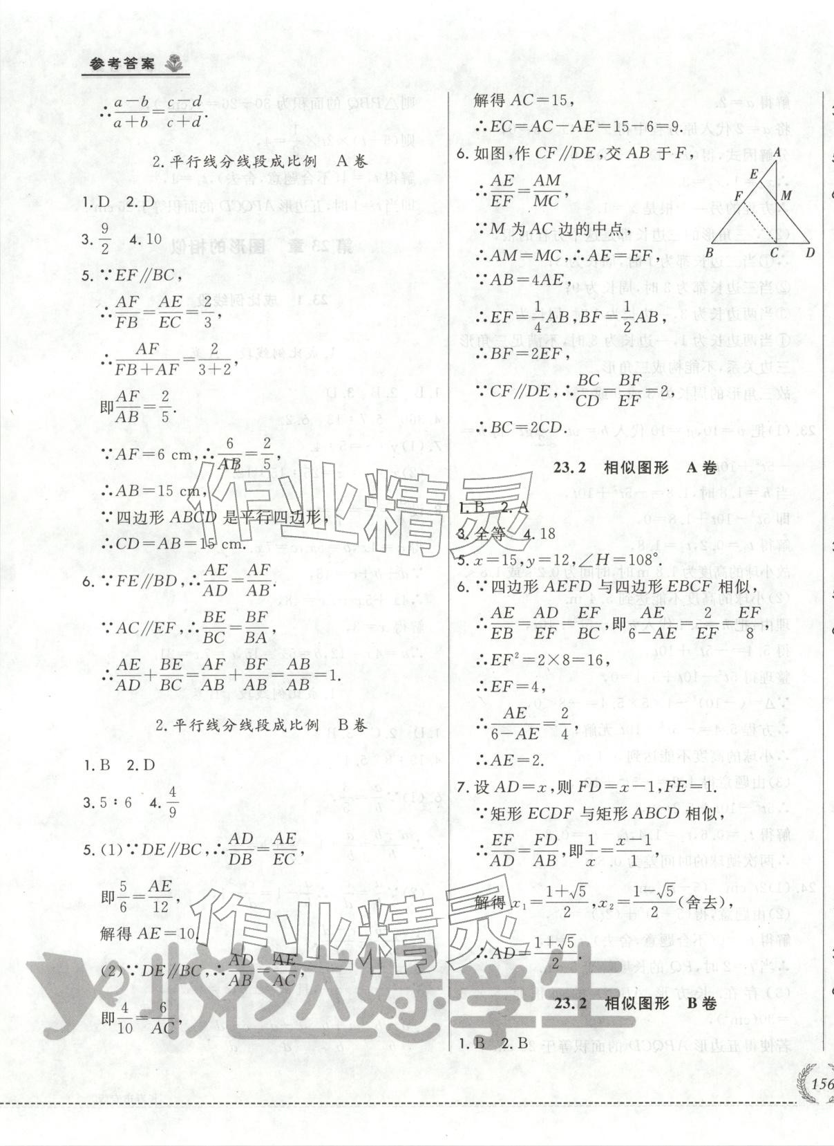 2025年悦然好学生必开卷九年级数学全一册华师大版长春专版 第15页