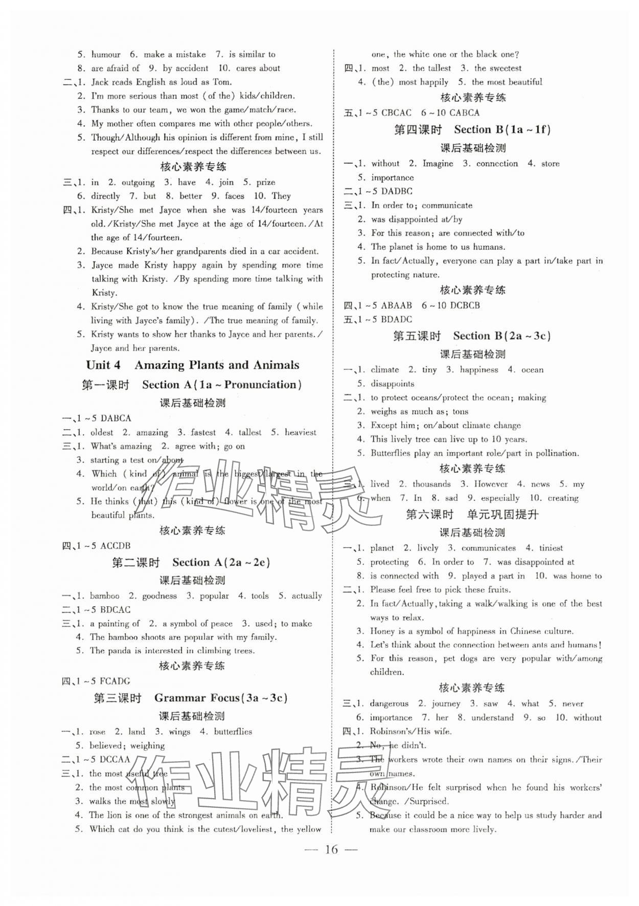 2025年領(lǐng)跑作業(yè)本八年級英語上冊人教版廣東專版 參考答案第16頁