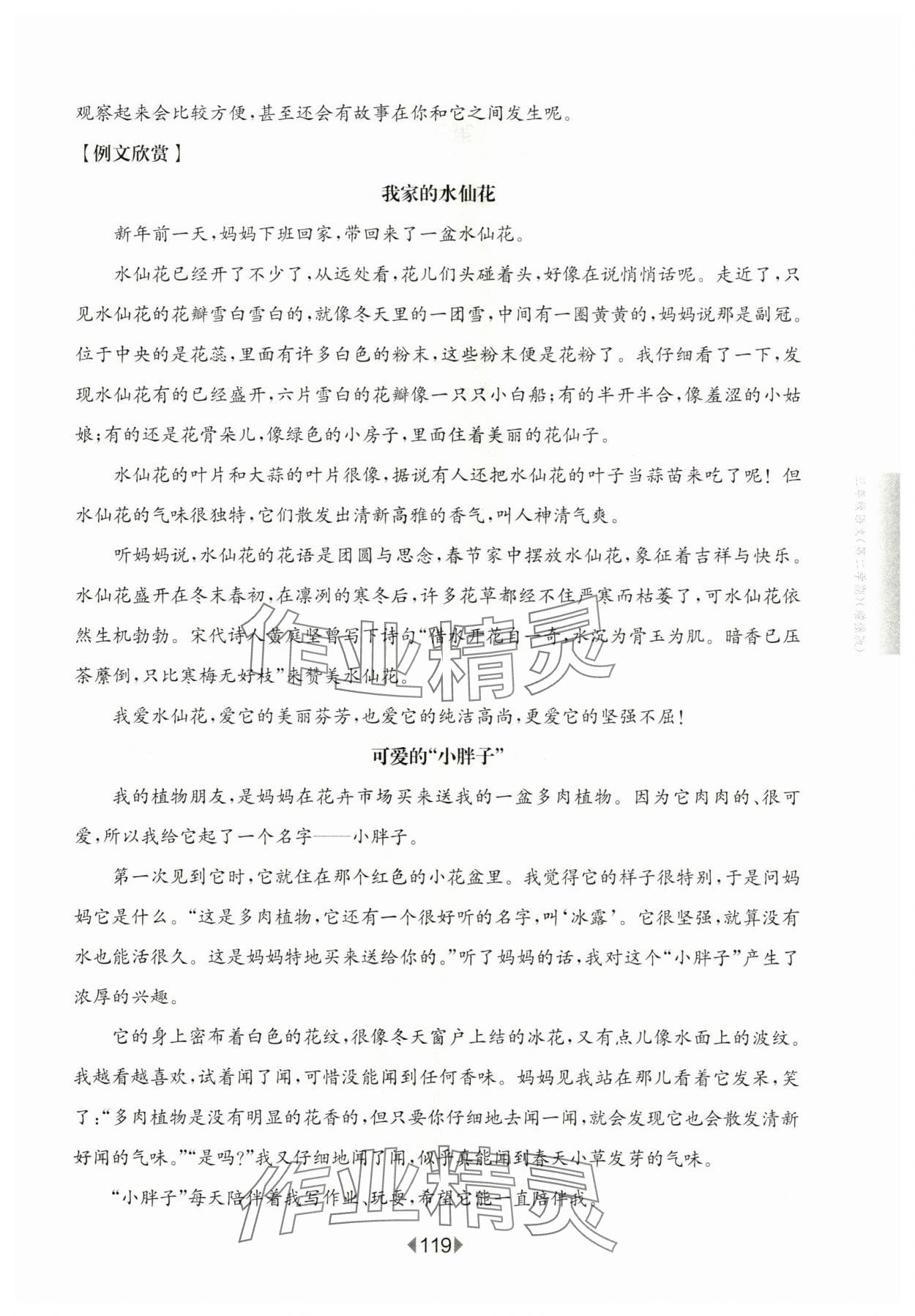 2024年华东师大版一课一练三年级语文下册人教版增强版五四制 参考答案第5页