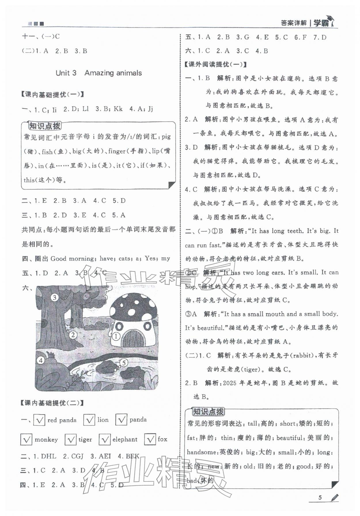 2025年學霸三年級英語上冊人教版 參考答案第5頁