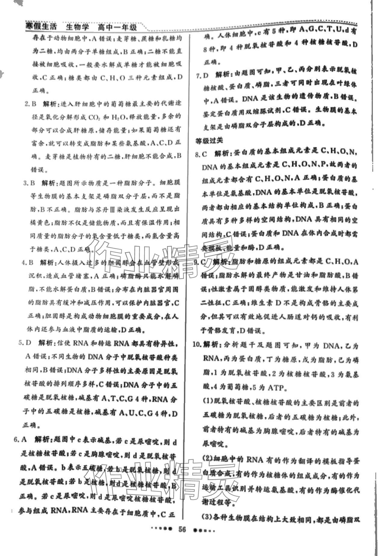 2024年寒假生活北京師范大學(xué)出版社高一生物 第5頁