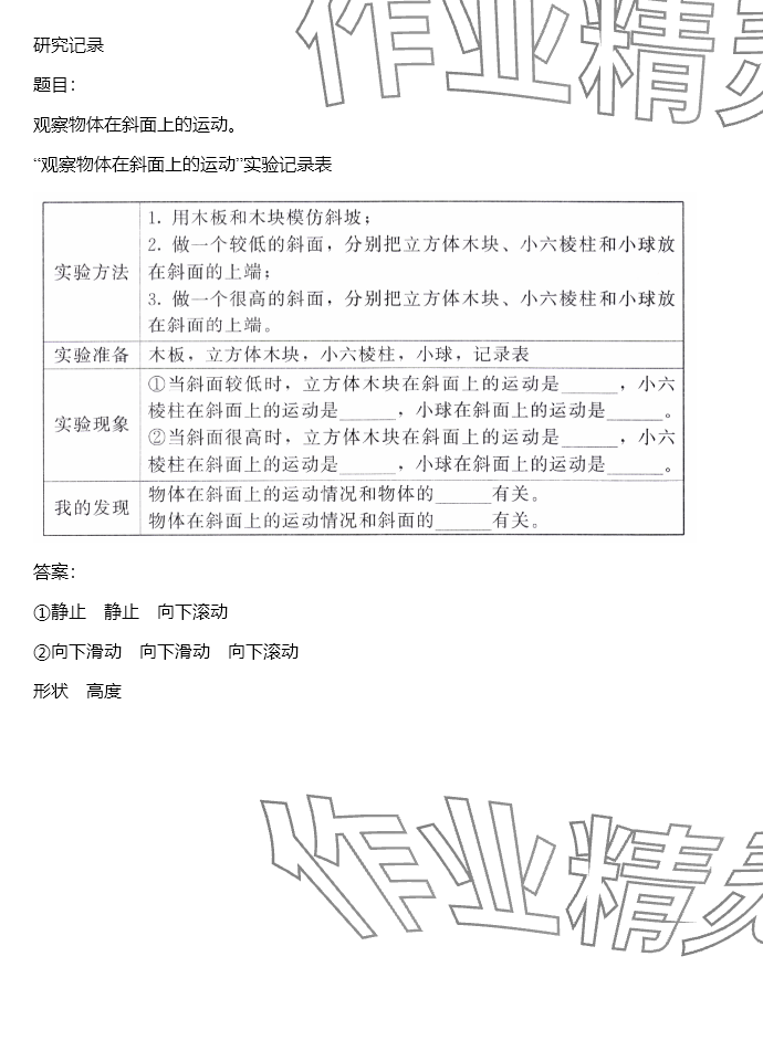 2024年同步实践评价课程基础训练三年级科学下册教科版 参考答案第19页