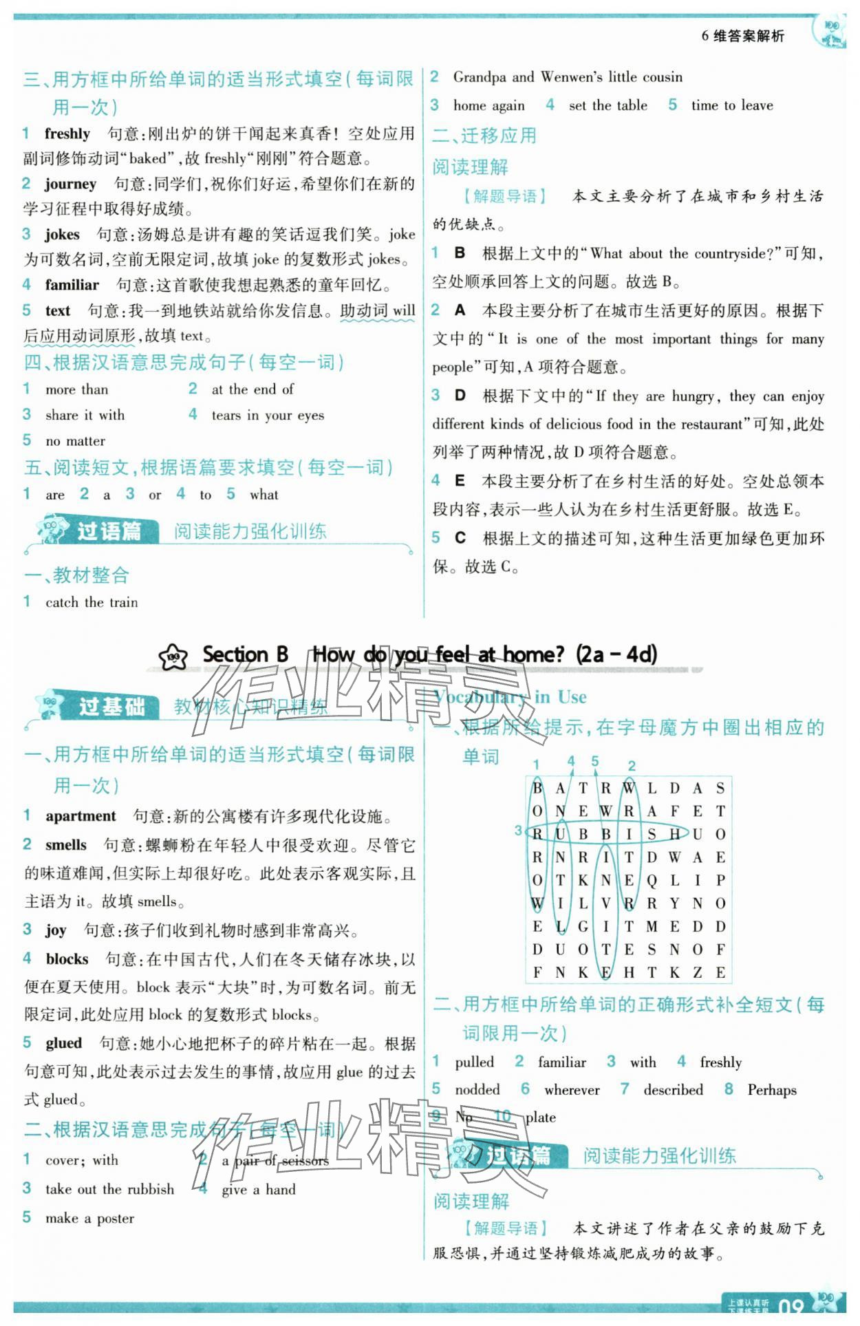 2025年一遍过八年级英语上册人教版河南专版 第9页