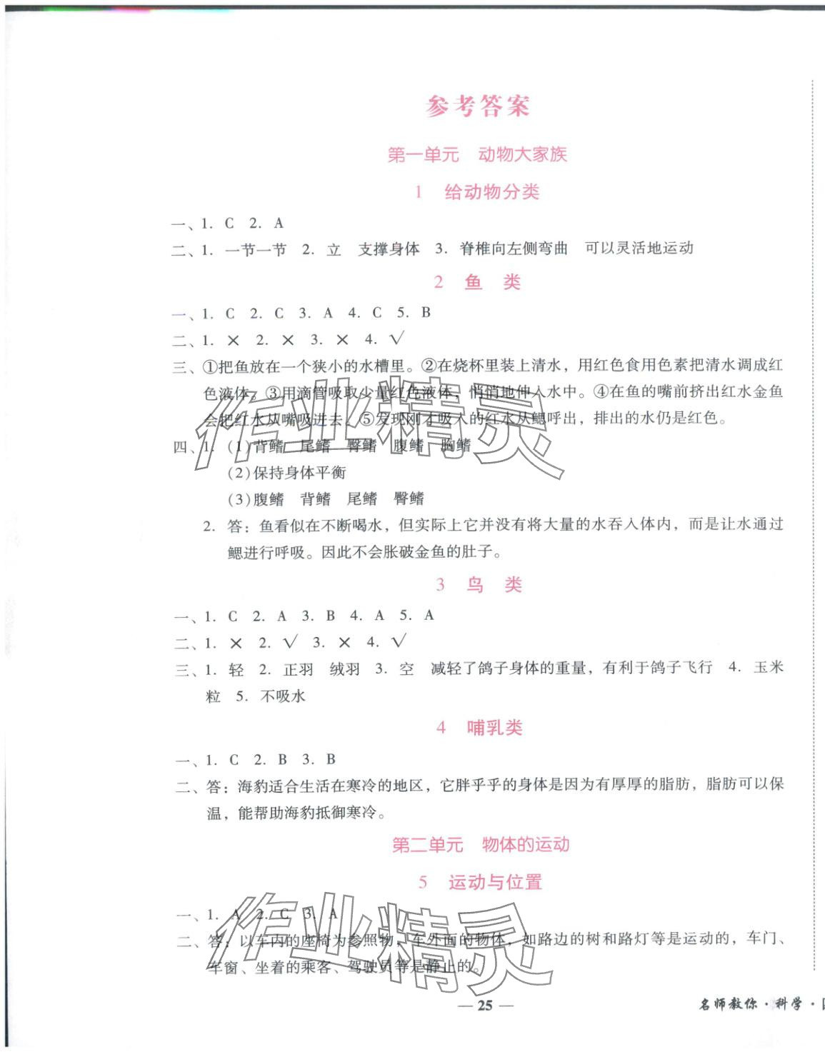 2025年小桔豆名师教你四年级科学上册苏教版 参考答案第1页