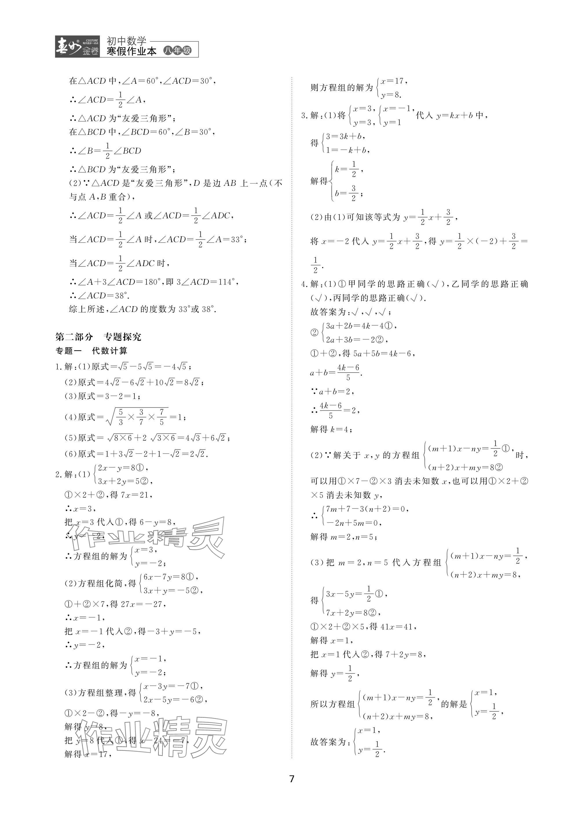 2025年春如金卷數(shù)學(xué)寒假作業(yè)本八年級(jí) 參考答案第7頁(yè)