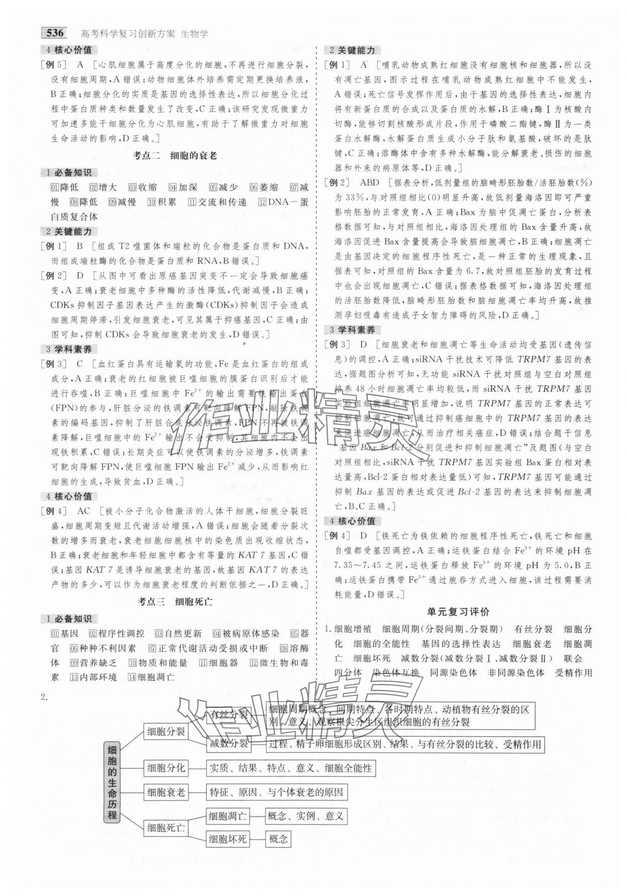 2025年金版教程高考科學(xué)復(fù)習(xí)解決方案生物創(chuàng)新版 第22頁