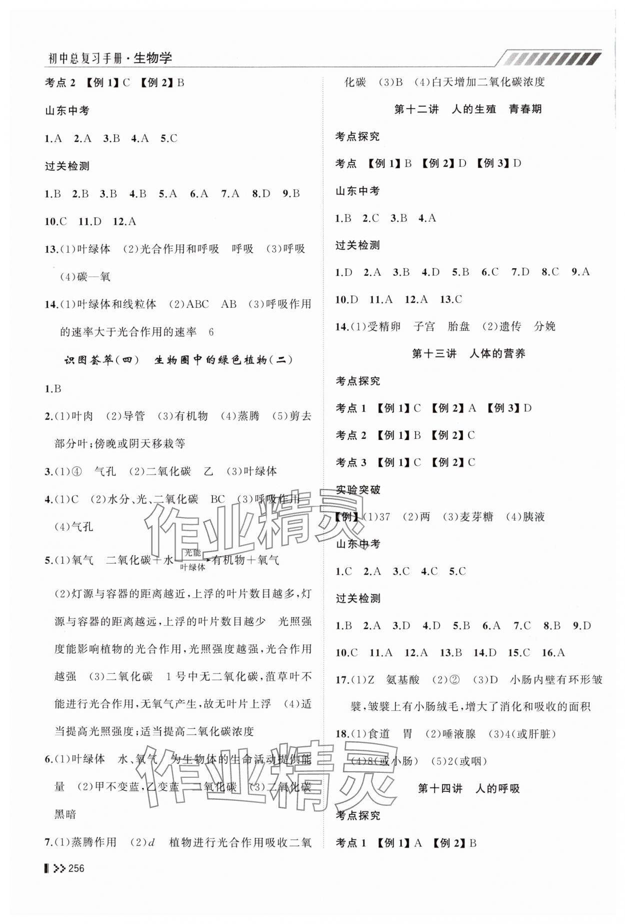 2025年初中總復(fù)習(xí)手冊(cè)山東人民出版社生物 第4頁(yè)