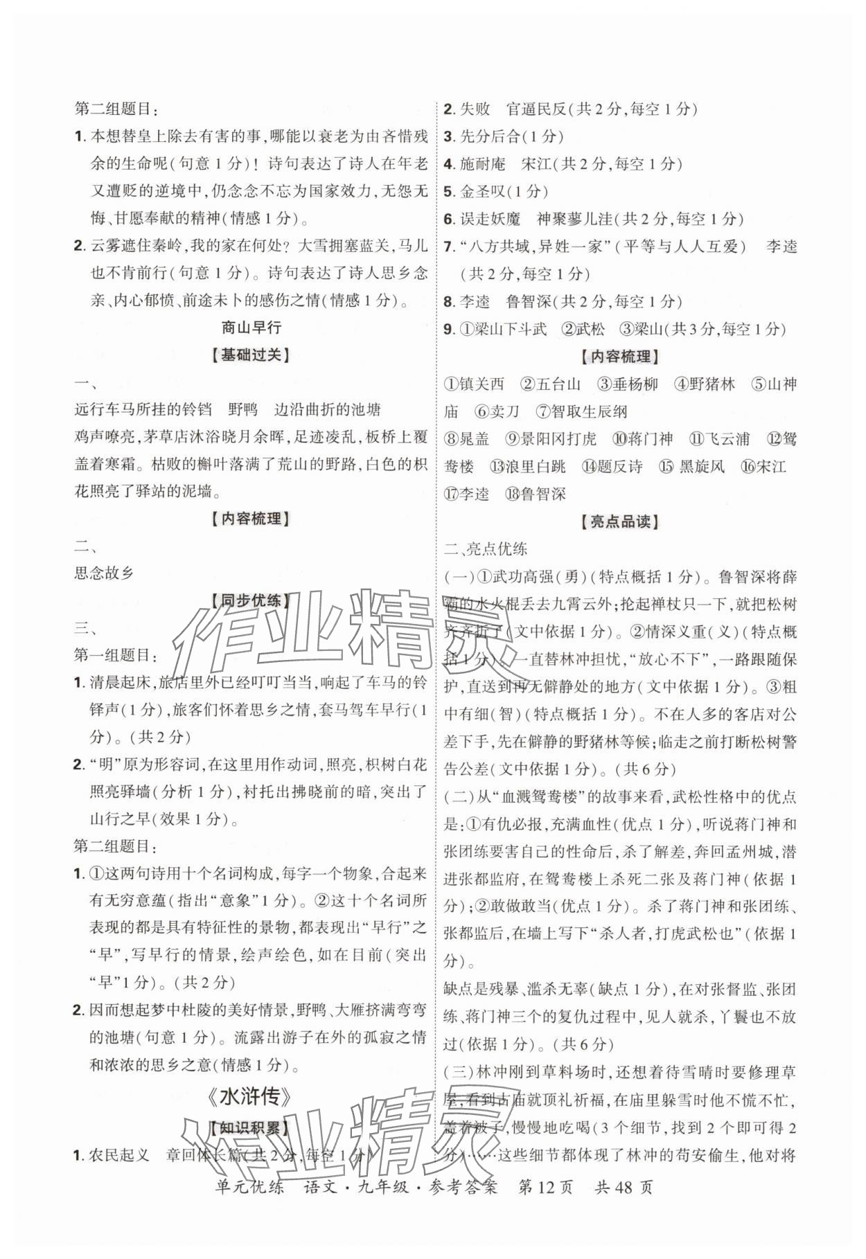 2025年單元優(yōu)練九年級語文全一冊人教版&nbsp;參考答案第12頁