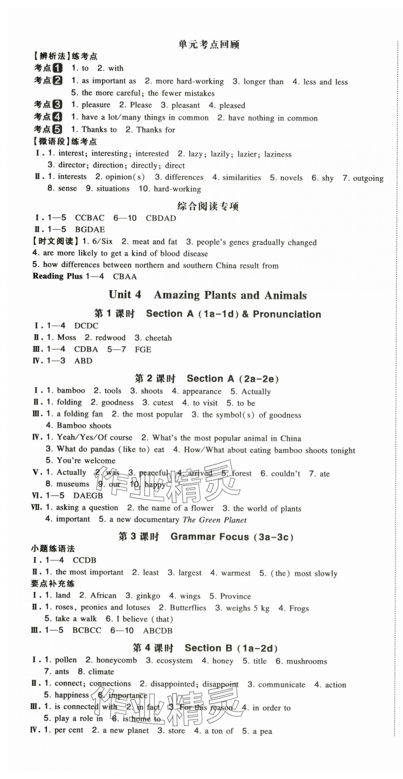 2025年一本初中英語八年級上冊人教版 第5頁