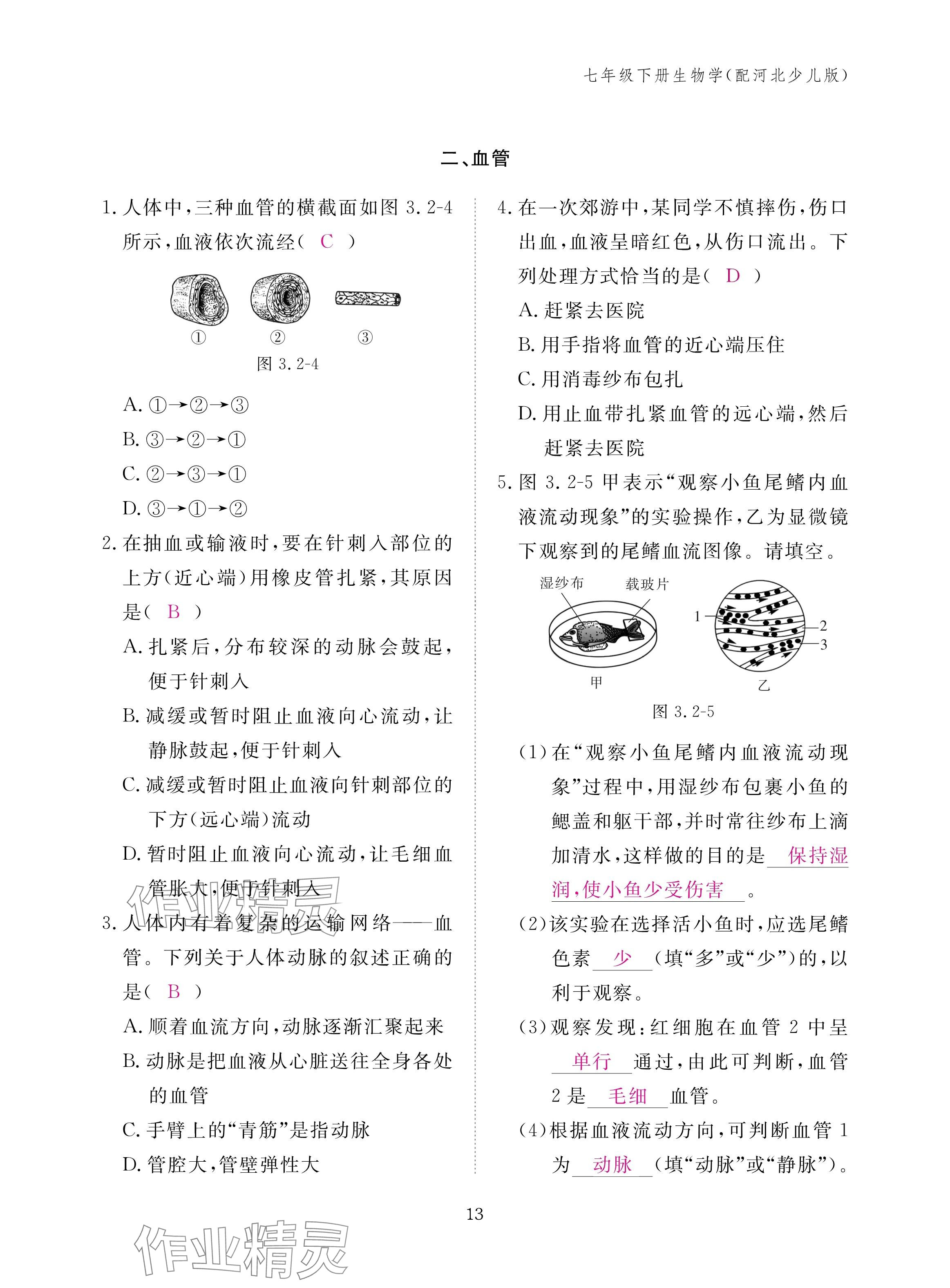 2025年作業(yè)本江西教育出版社七年級(jí)生物下冊(cè)冀少版 參考答案第13頁