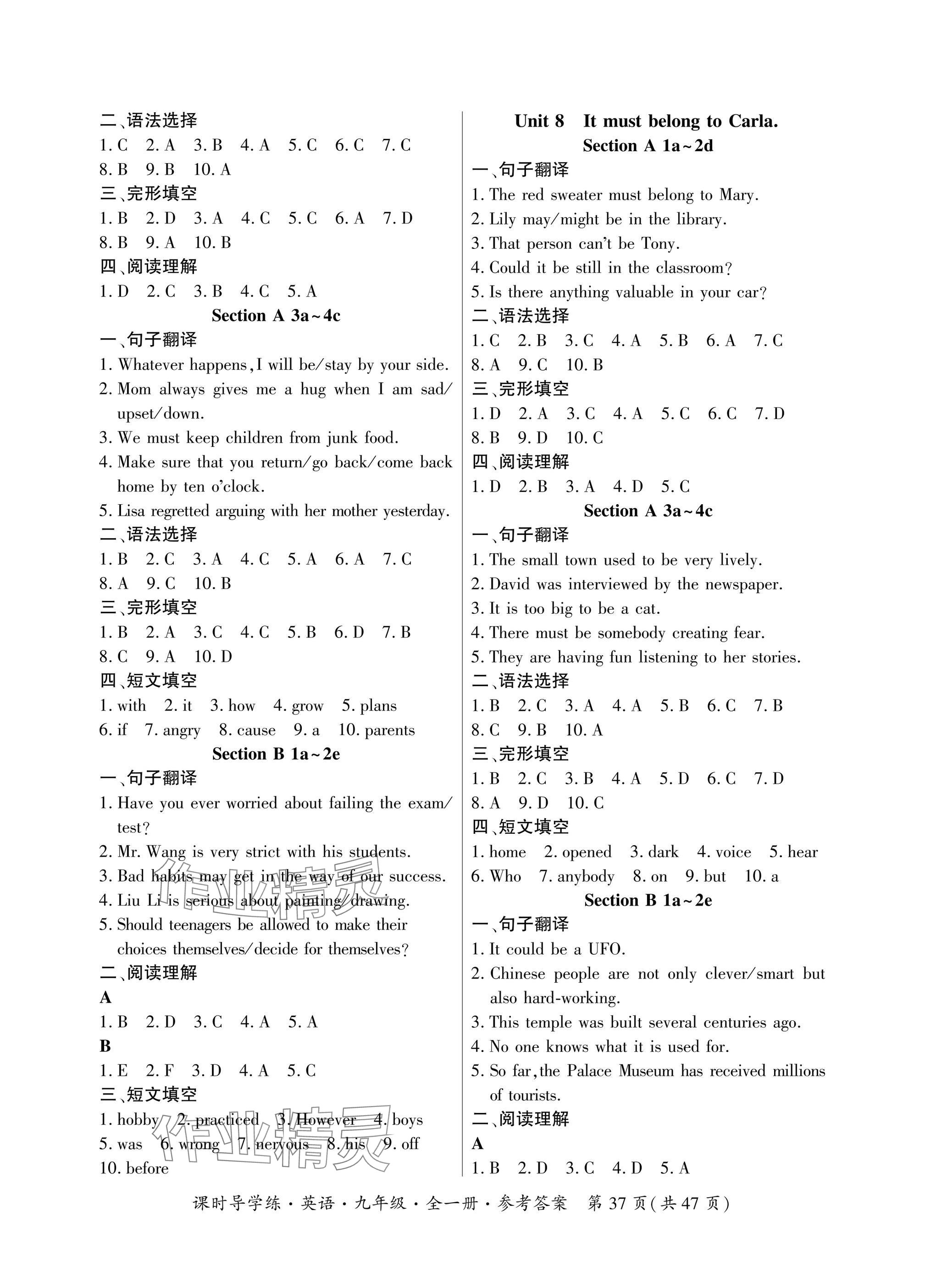 2024年課時導(dǎo)學(xué)練九年級英語全一冊人教版廣東專版 參考答案第37頁