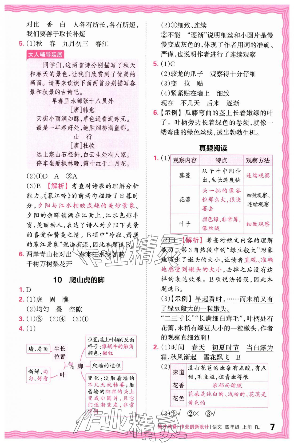 2024年王朝霞德才兼?zhèn)渥鳂I(yè)創(chuàng)新設(shè)計四年級語文上冊人教版 第7頁