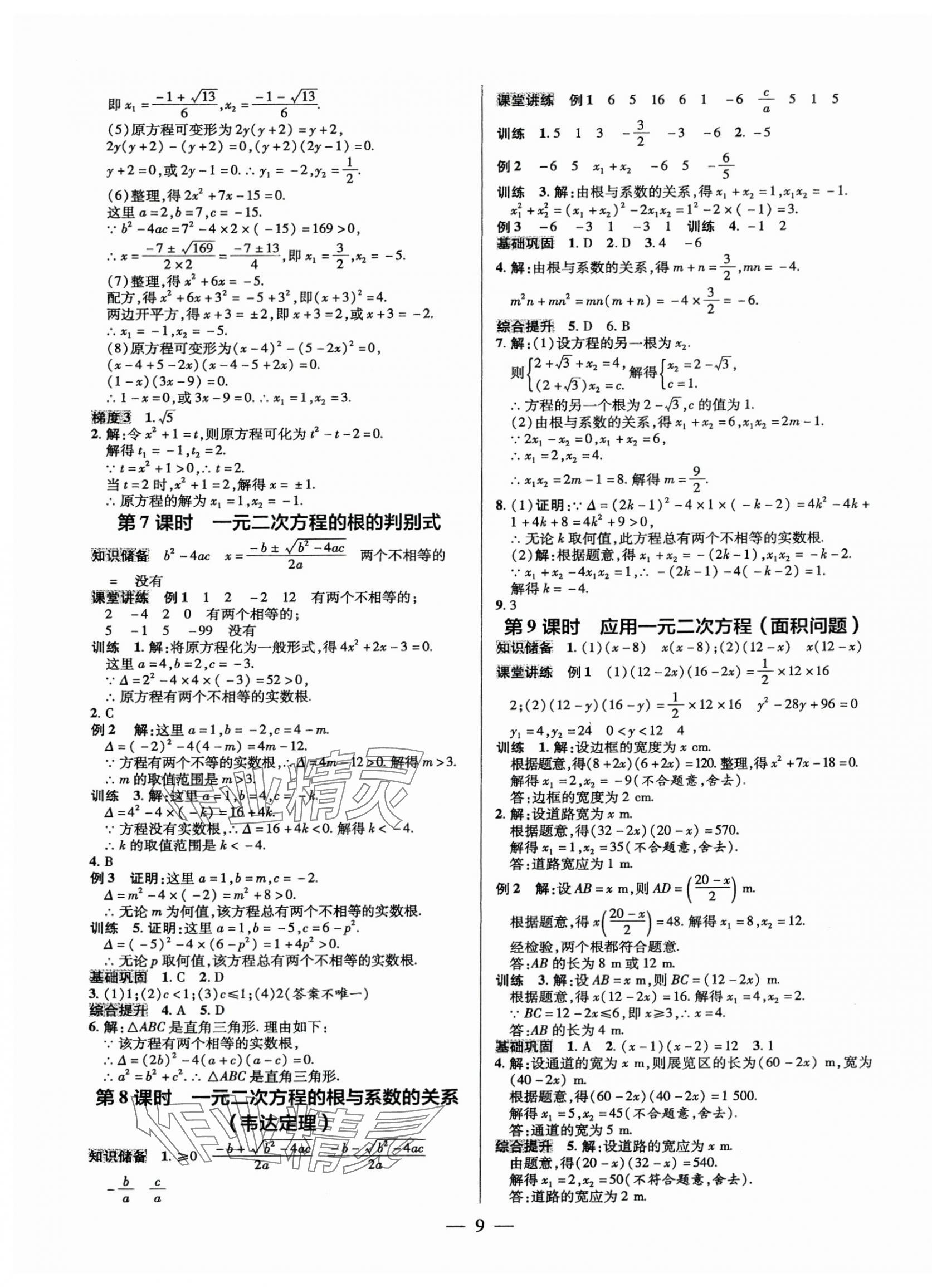 2025年領(lǐng)跑作業(yè)本九年級數(shù)學(xué)全一冊北師大版 第9頁