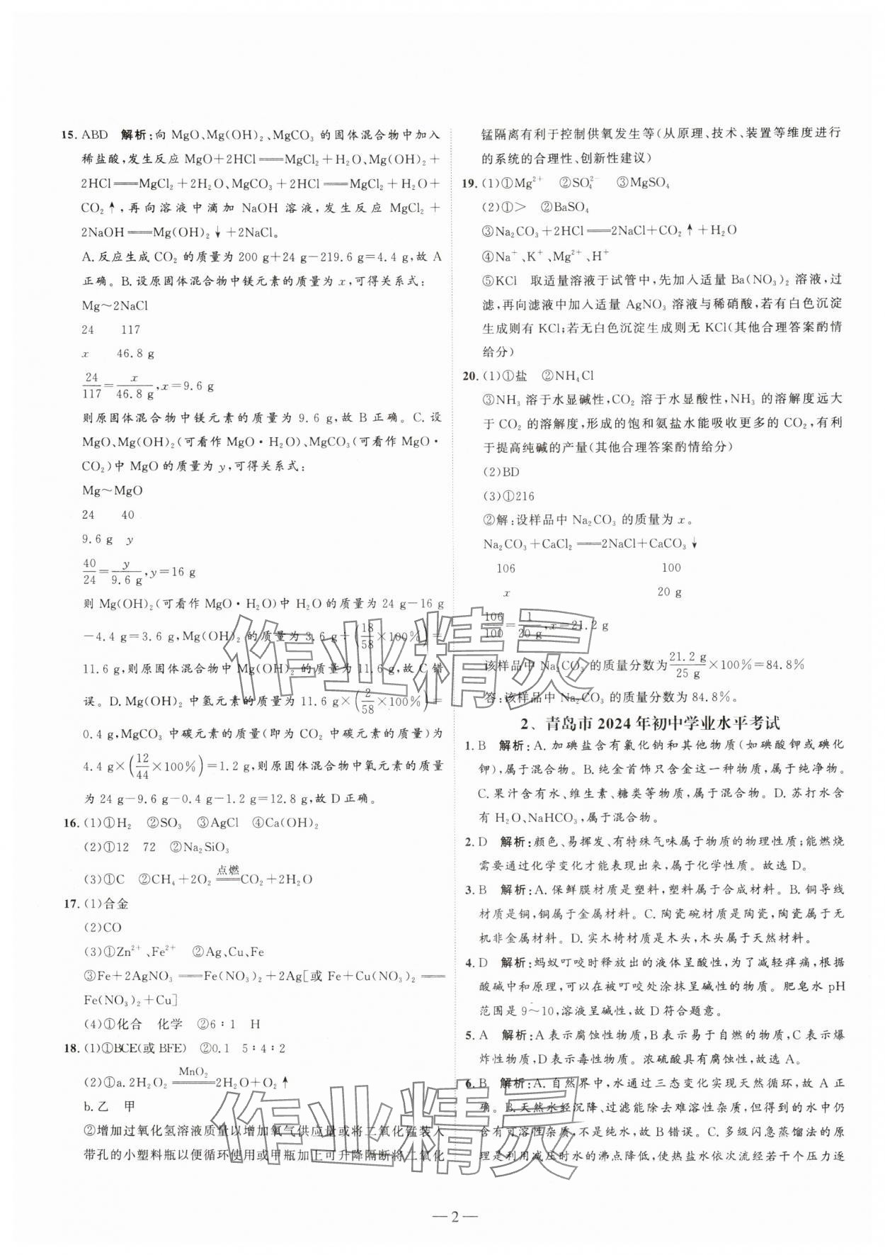 2025年中考试题汇编与解析化学山东专版 参考答案第2页