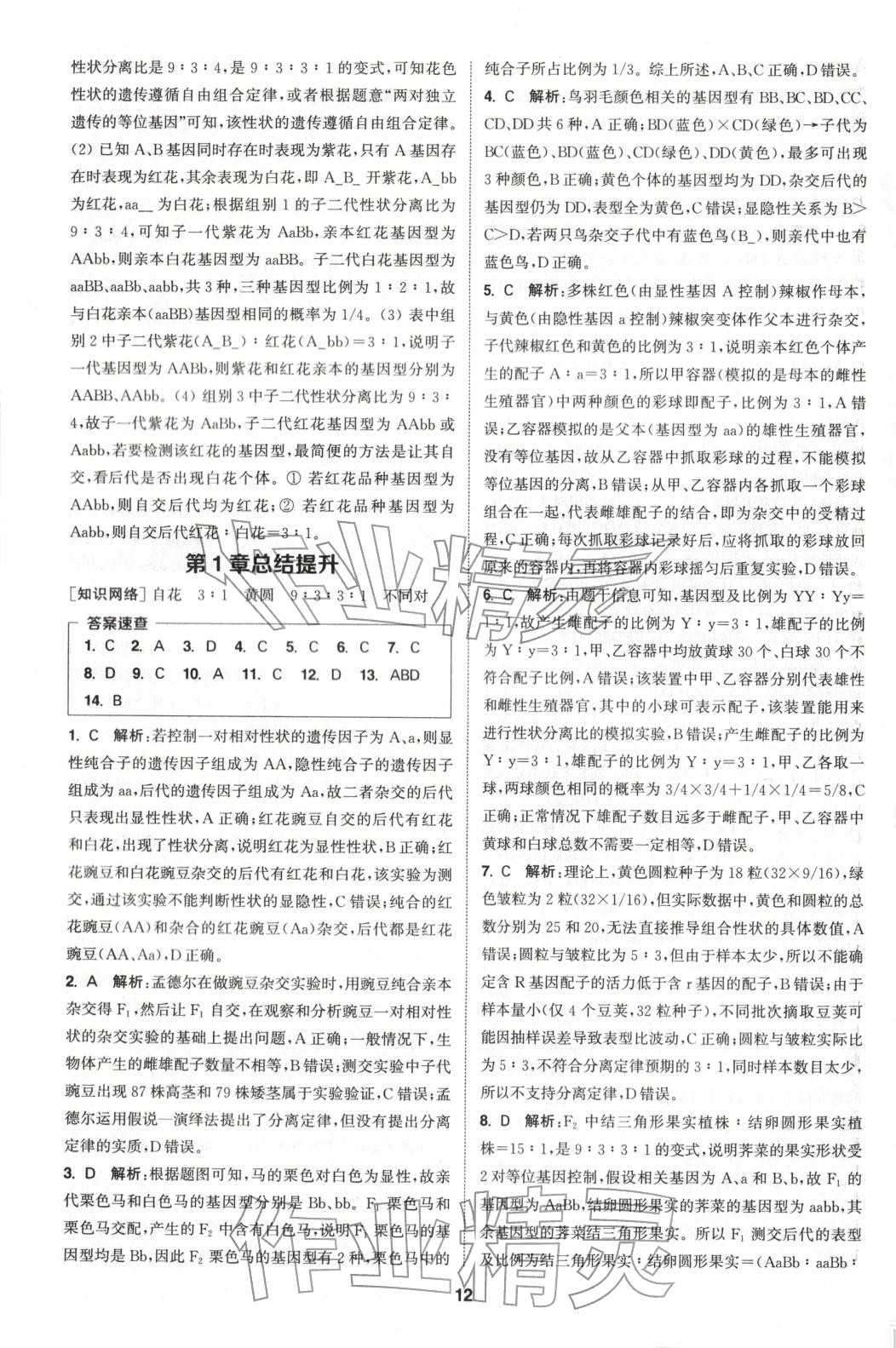 2025年通成学典课时作业本高中生物必修第二册人教版&nbsp;第12页