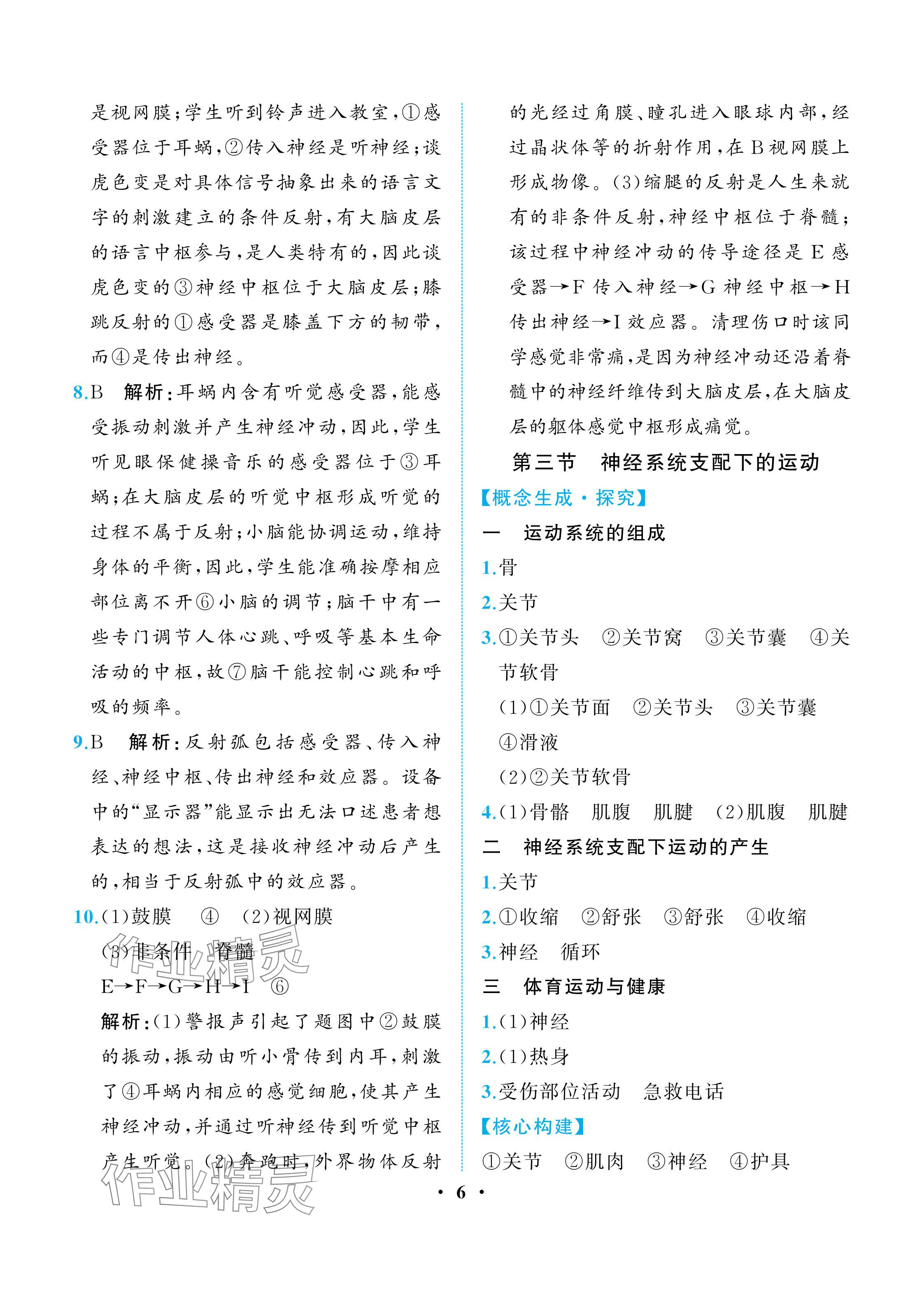 2025年人教金學典同步解析與測評八年級生物上冊人教版重慶專版 參考答案第6頁