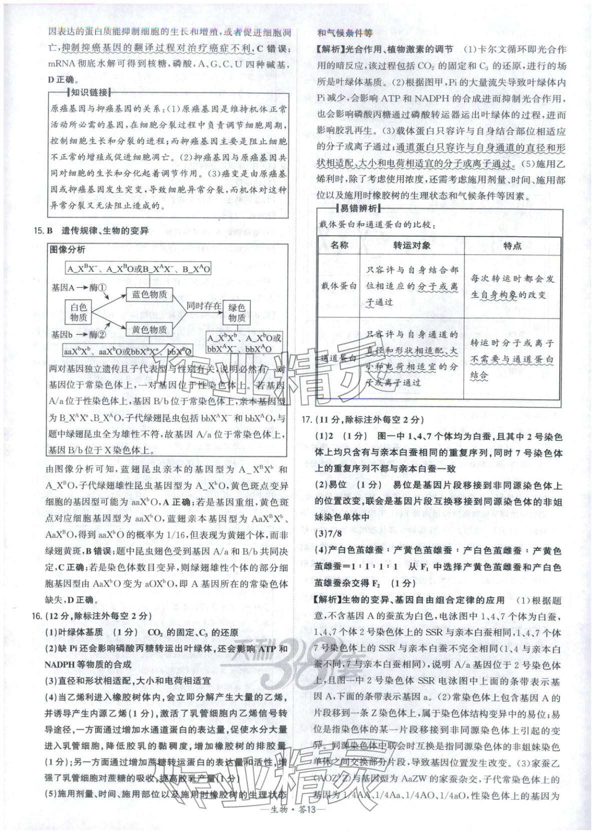 2026年高考模擬試題匯編高中生物全一冊通用版&nbsp;參考答案第13頁