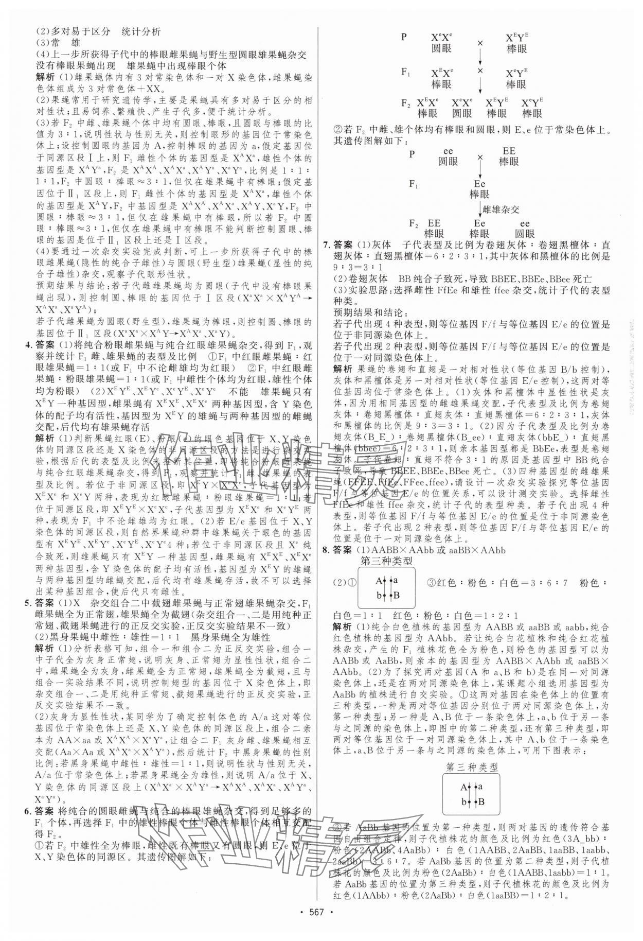 2025年高考總復(fù)習(xí)優(yōu)化設(shè)計(jì)高中生物人教版 第25頁