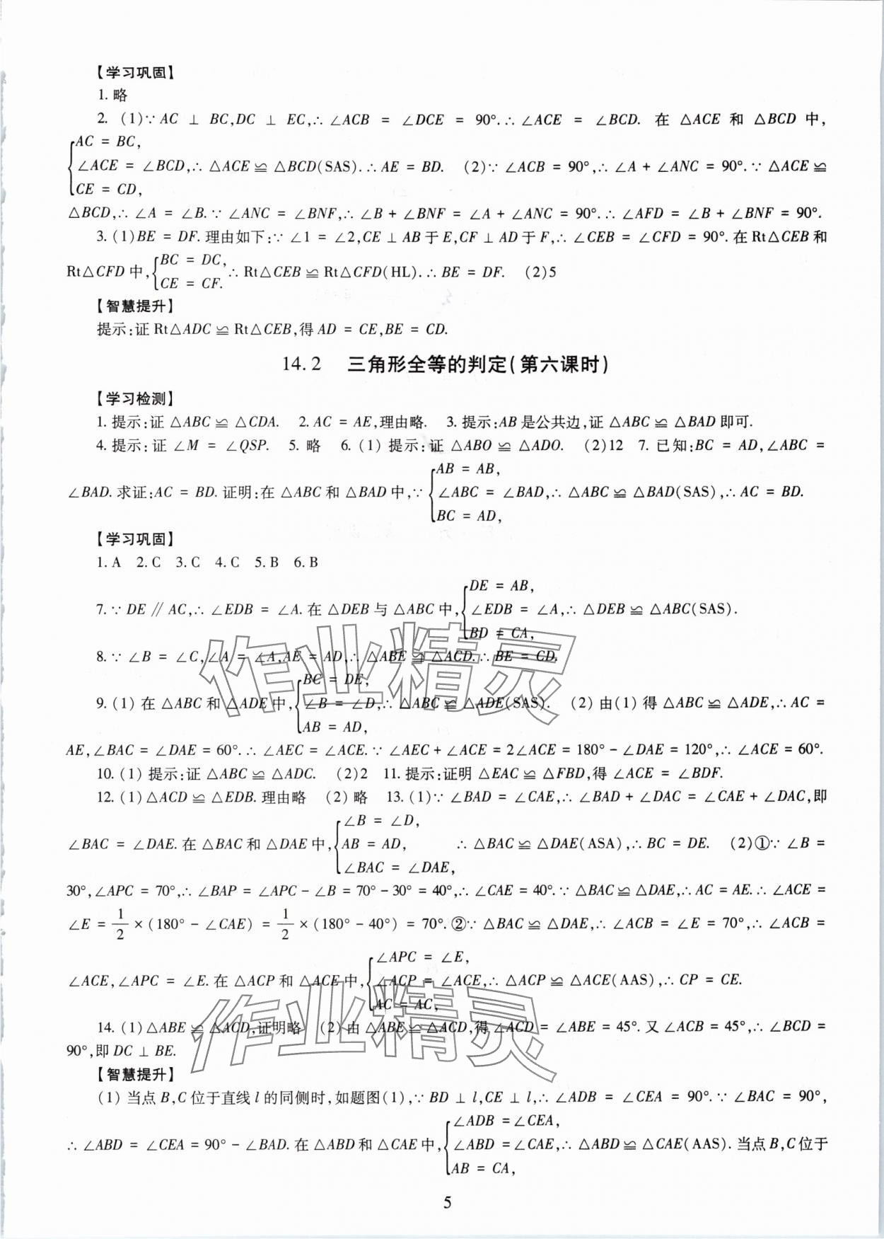 2025年智慧学习明天出版社八年级数学上册人教版 第5页
