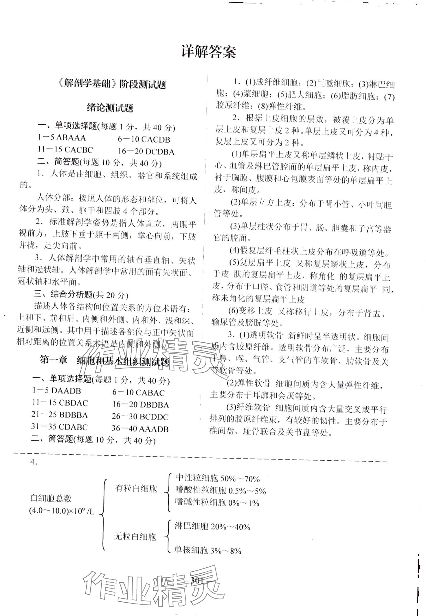 2024年學(xué)海領(lǐng)航階段跟蹤測評卷 第3頁