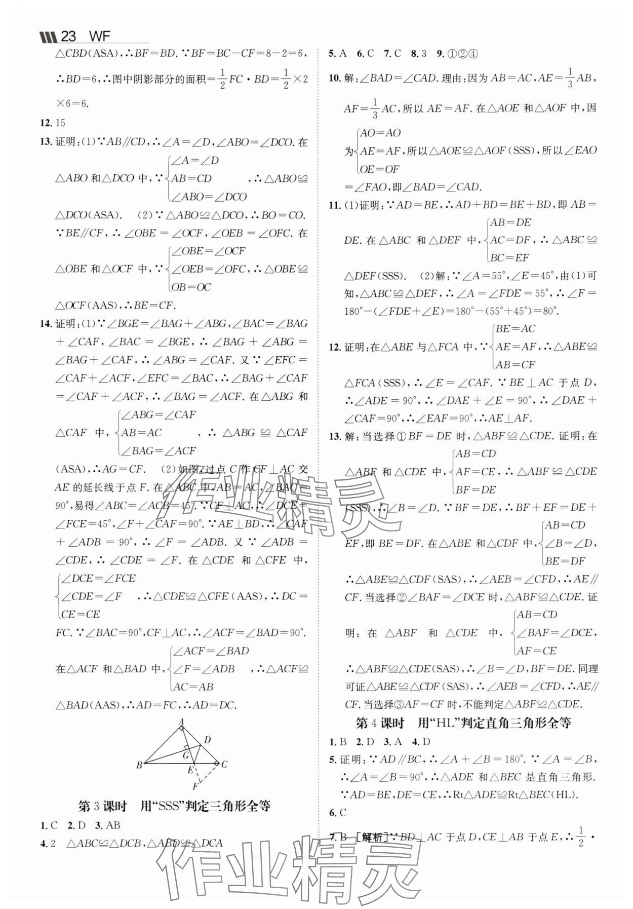 2025年同行學案八年級數學上冊青島版 參考答案第5頁