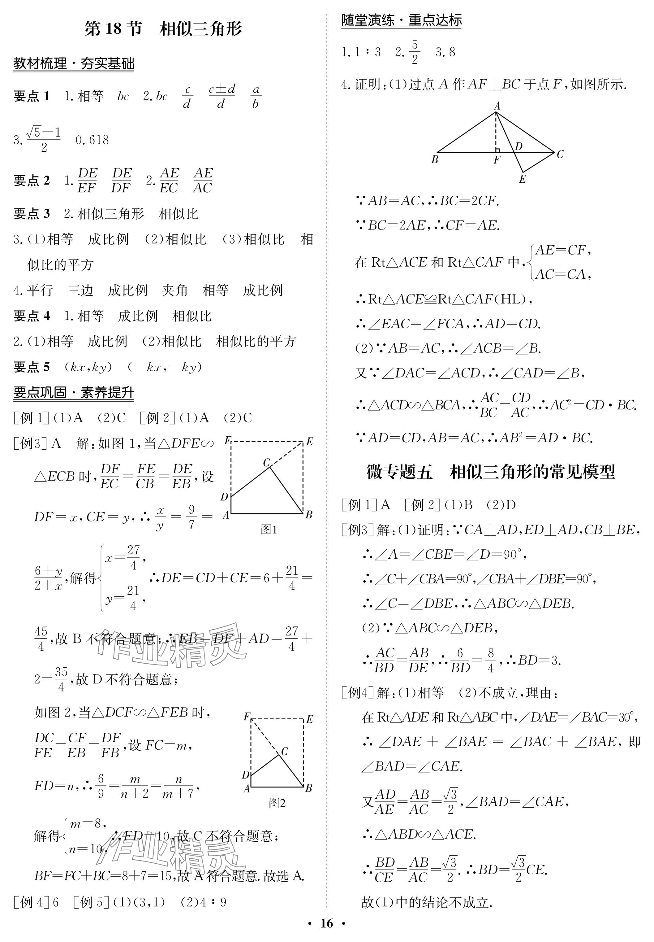 2024年中考復(fù)習(xí)指南長(zhǎng)江少年兒童出版社數(shù)學(xué) 參考答案第16頁(yè)