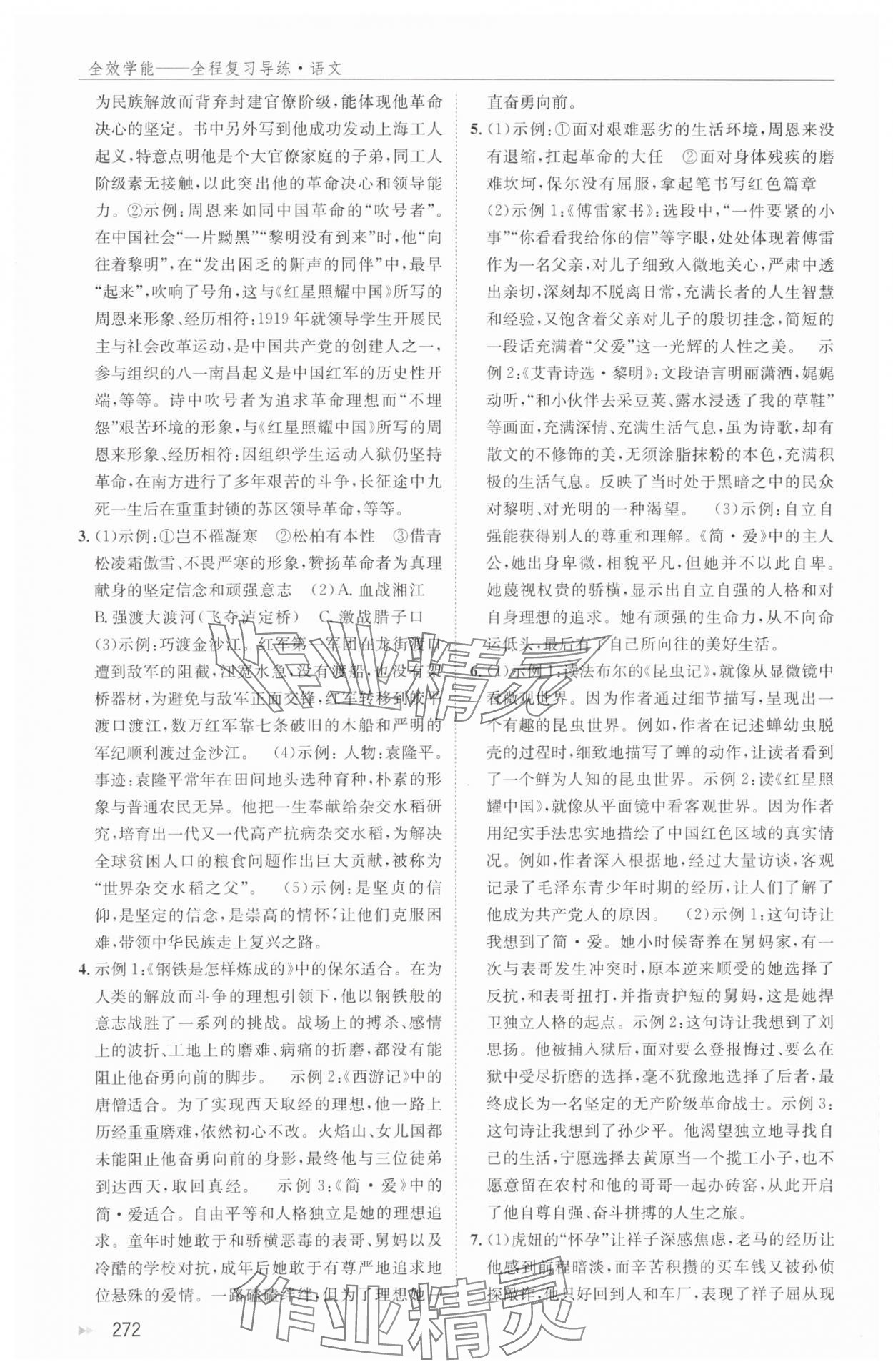 2024年全效學(xué)能全程復(fù)習(xí)導(dǎo)練中考語文 第6頁