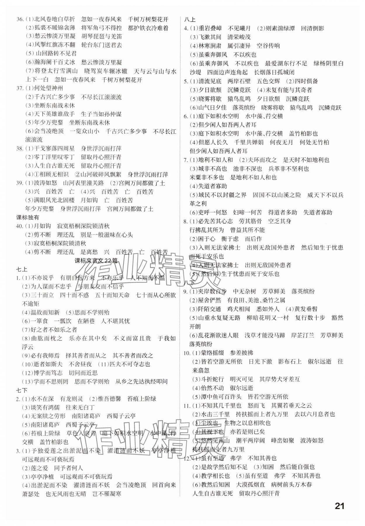 2025年滾動遷移中考總復(fù)習(xí)語文廣東專版 第21頁