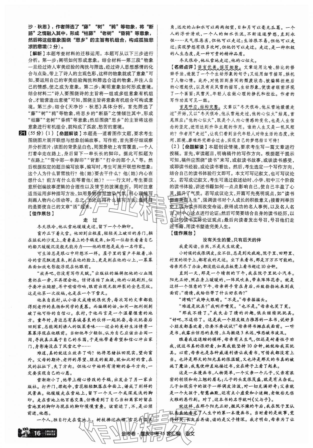 2025年金考卷中考45套匯編語文重慶專版 參考答案第16頁