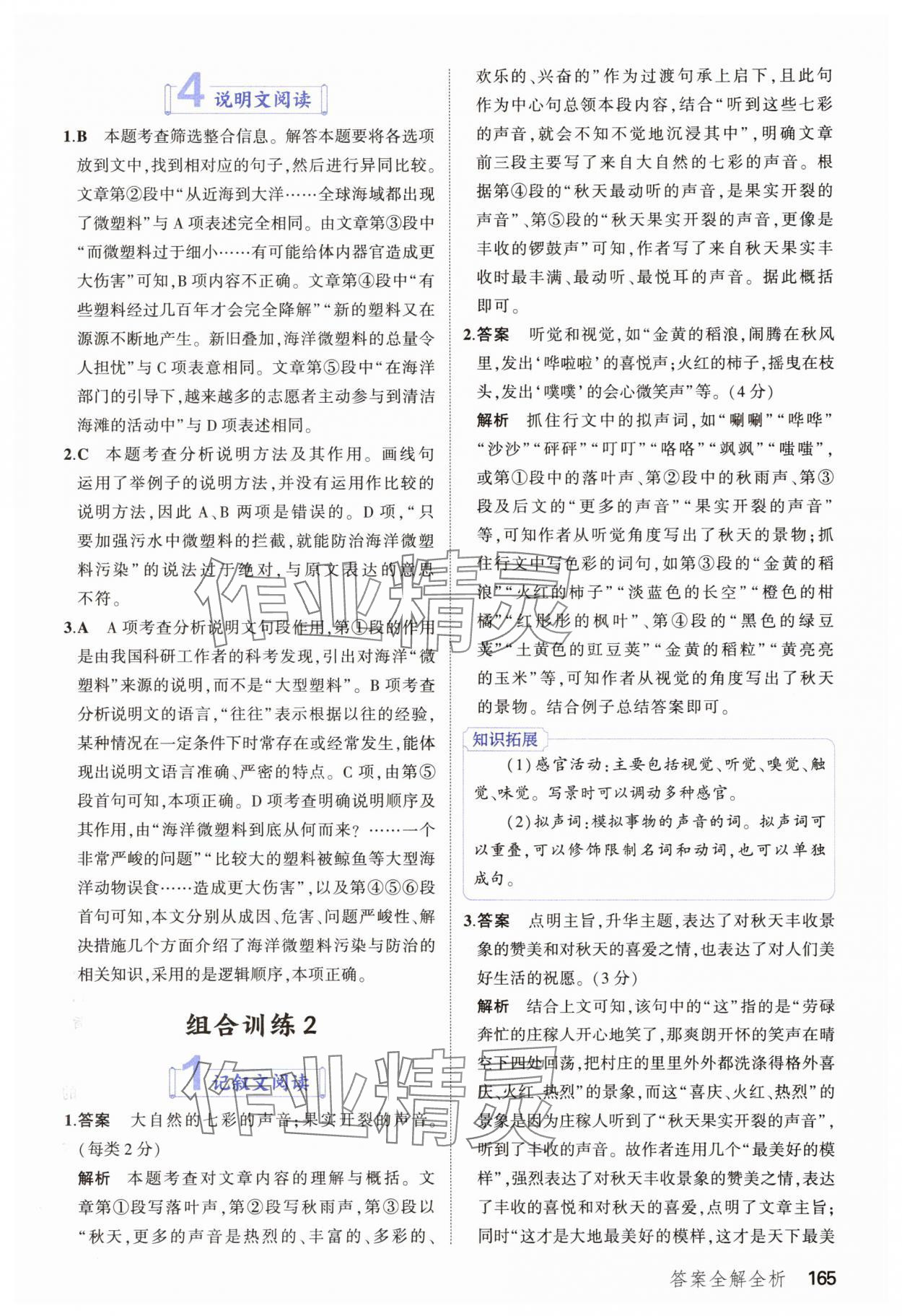 2025年53现代文阅读加古诗文阅读七年级语文全一册通用版&nbsp;第3页