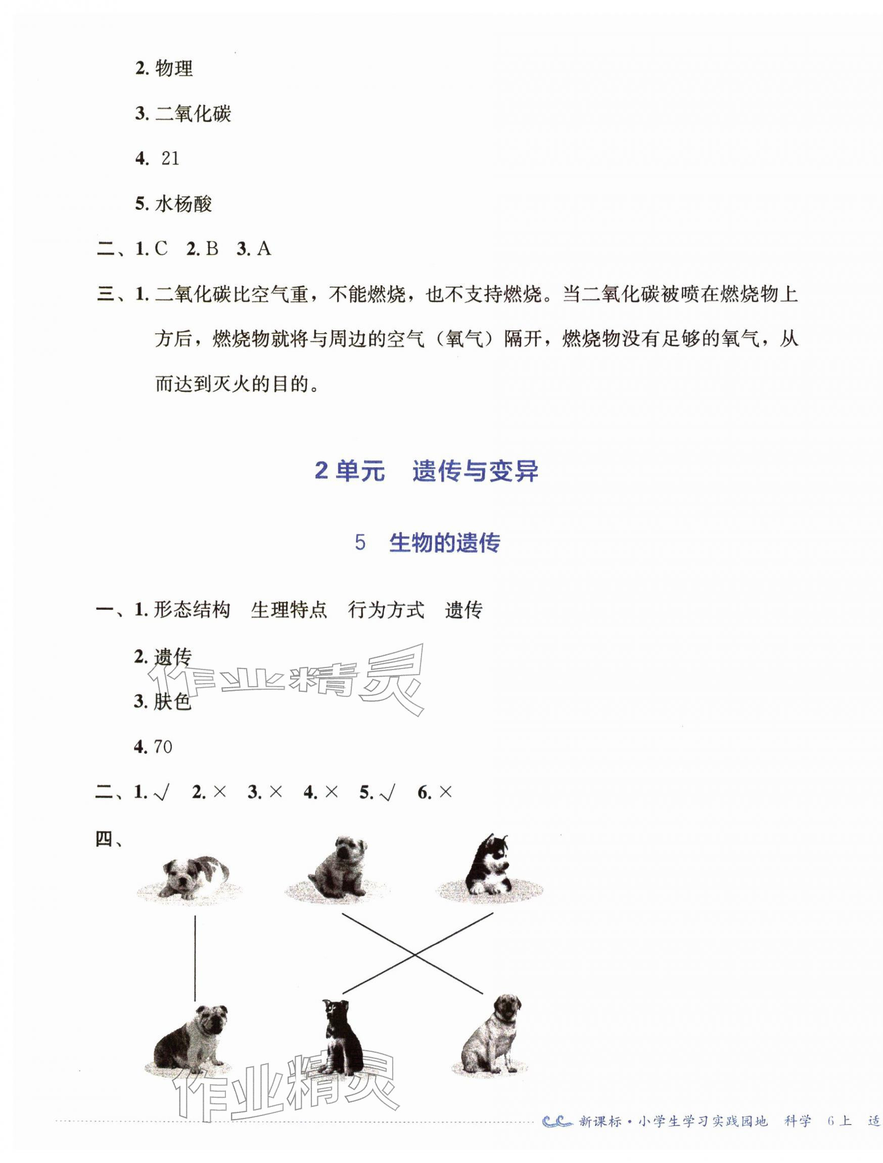 2025年学习实践园地六年级科学上册苏教版 第3页
