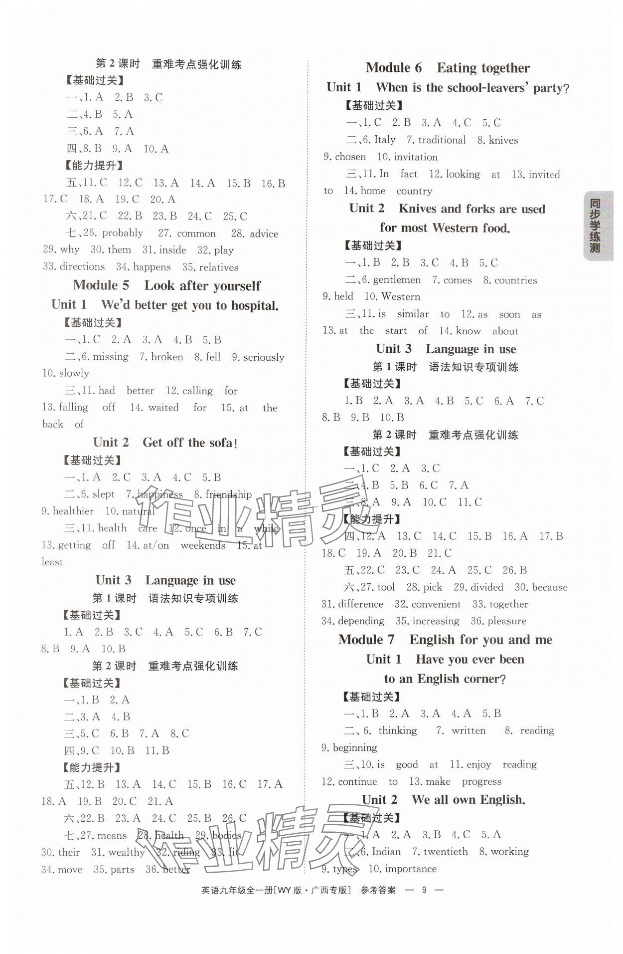 2024年全效学习同步学练测九年级英语全一册外研版广西专版 第9页