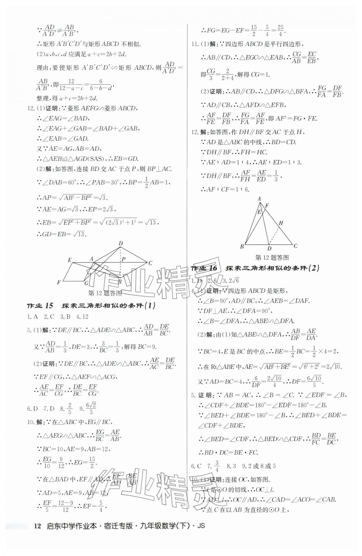 2026年启东中学作业本九年级数学下册苏科版宿迁专版 第12页