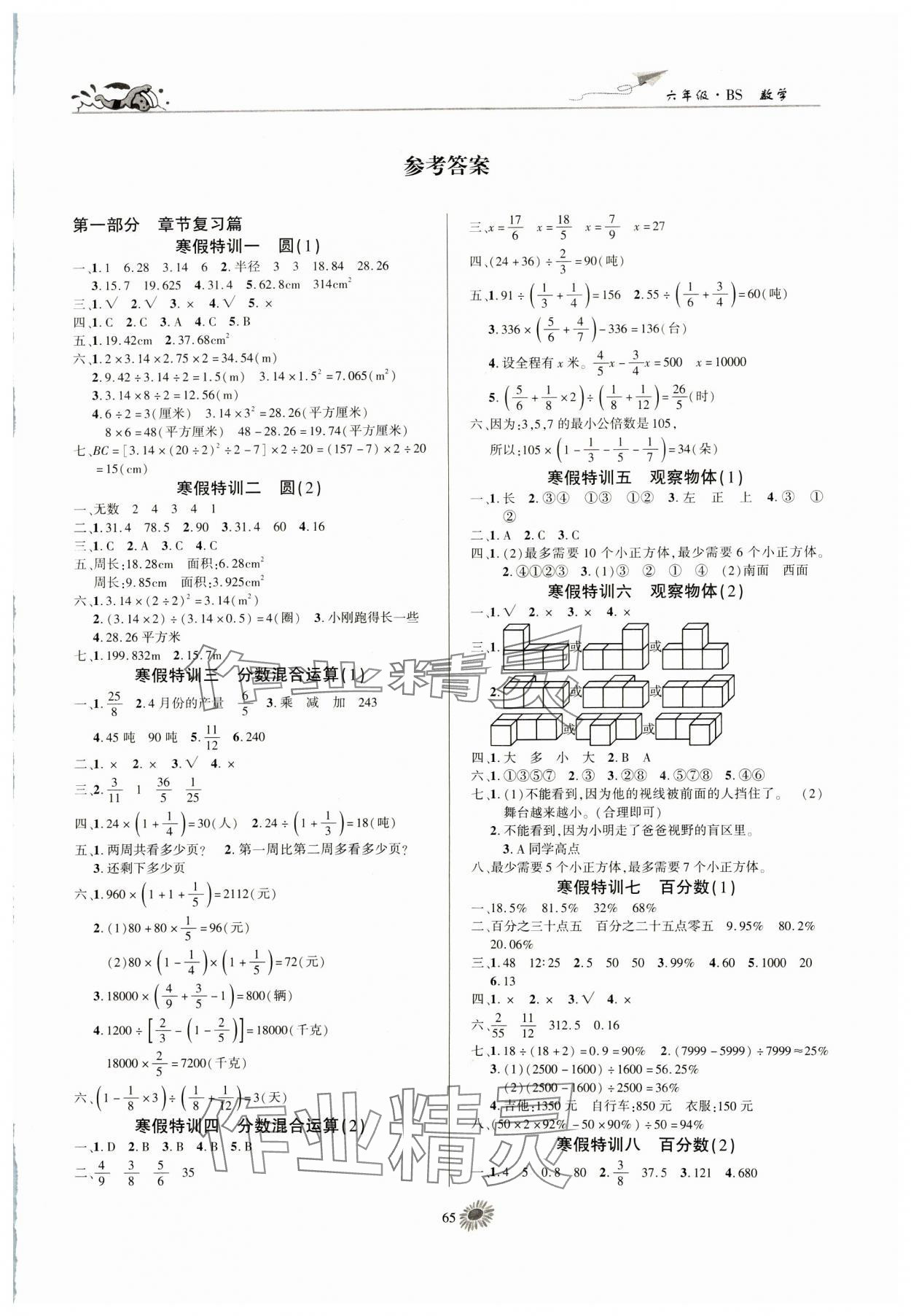 2025年假期特訓(xùn)學(xué)期總復(fù)習(xí)六年級(jí)數(shù)學(xué)北師大版 第1頁(yè)