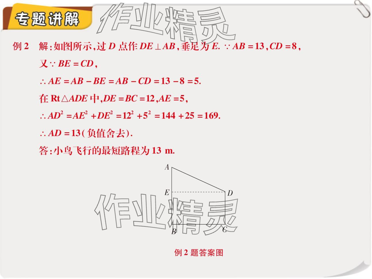 2024年复习直通车期末复习与假期作业八年级数学北师大版 参考答案第5页