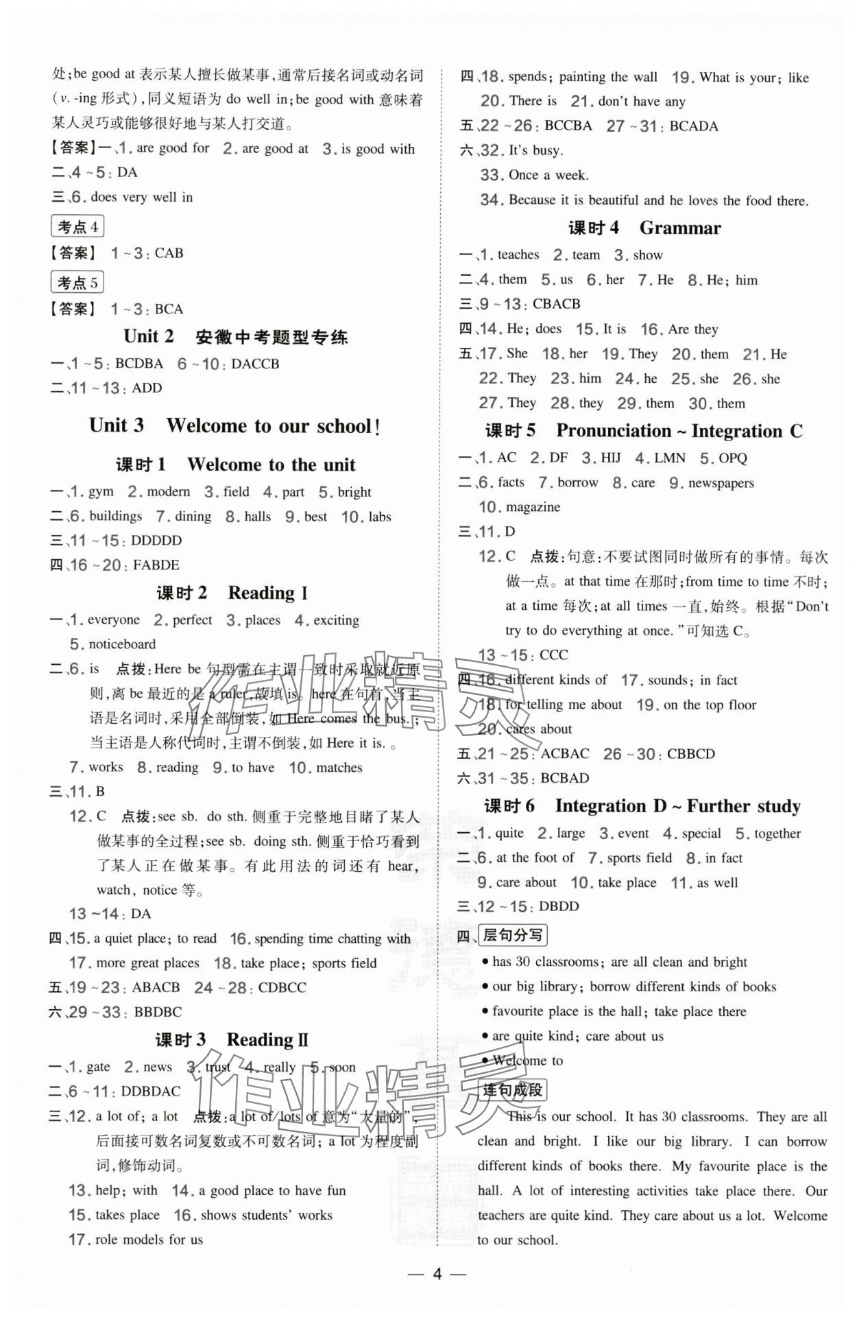 2024年點撥訓練七年級英語上冊譯林版安徽專版 參考答案第4頁