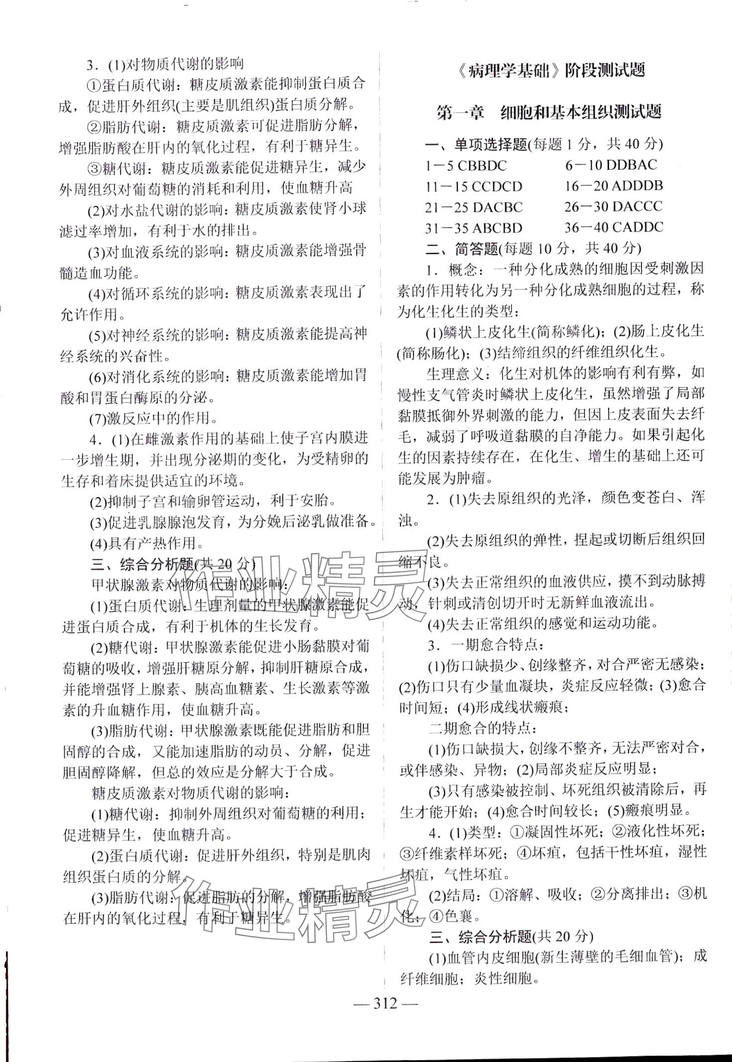 2024年学海领航阶段跟踪测评卷&nbsp;第14页