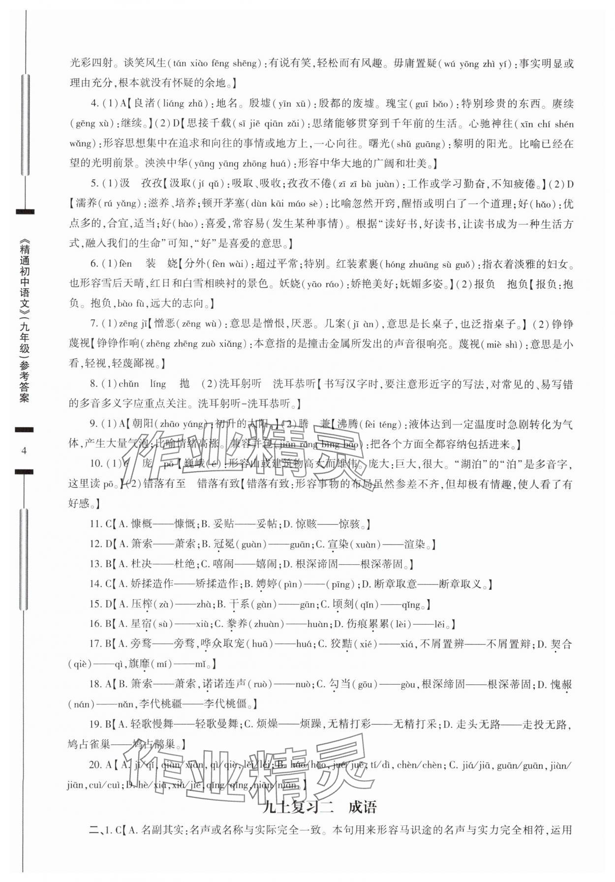 2025年精通初中語文九年級(jí)人教版 參考答案第4頁